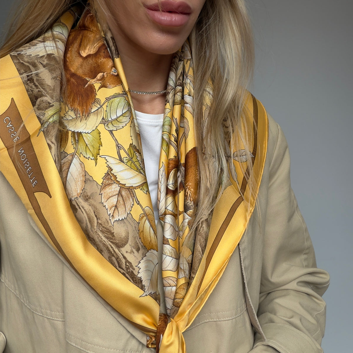 Rare Hermes Carré 90 Casse-Noisette Silk Scarf