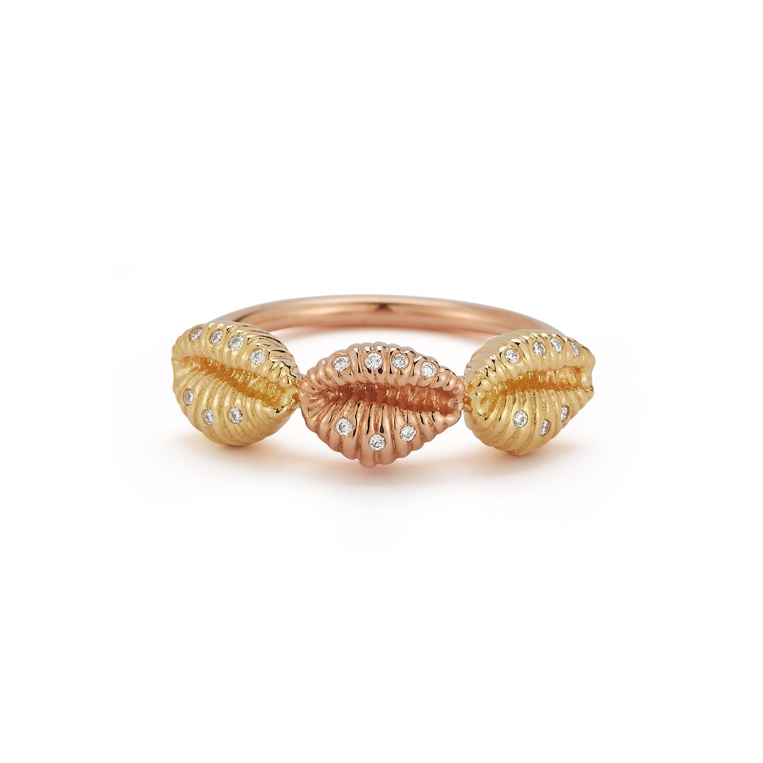 Renna Three Baby Shells with Diamonds - Queen May