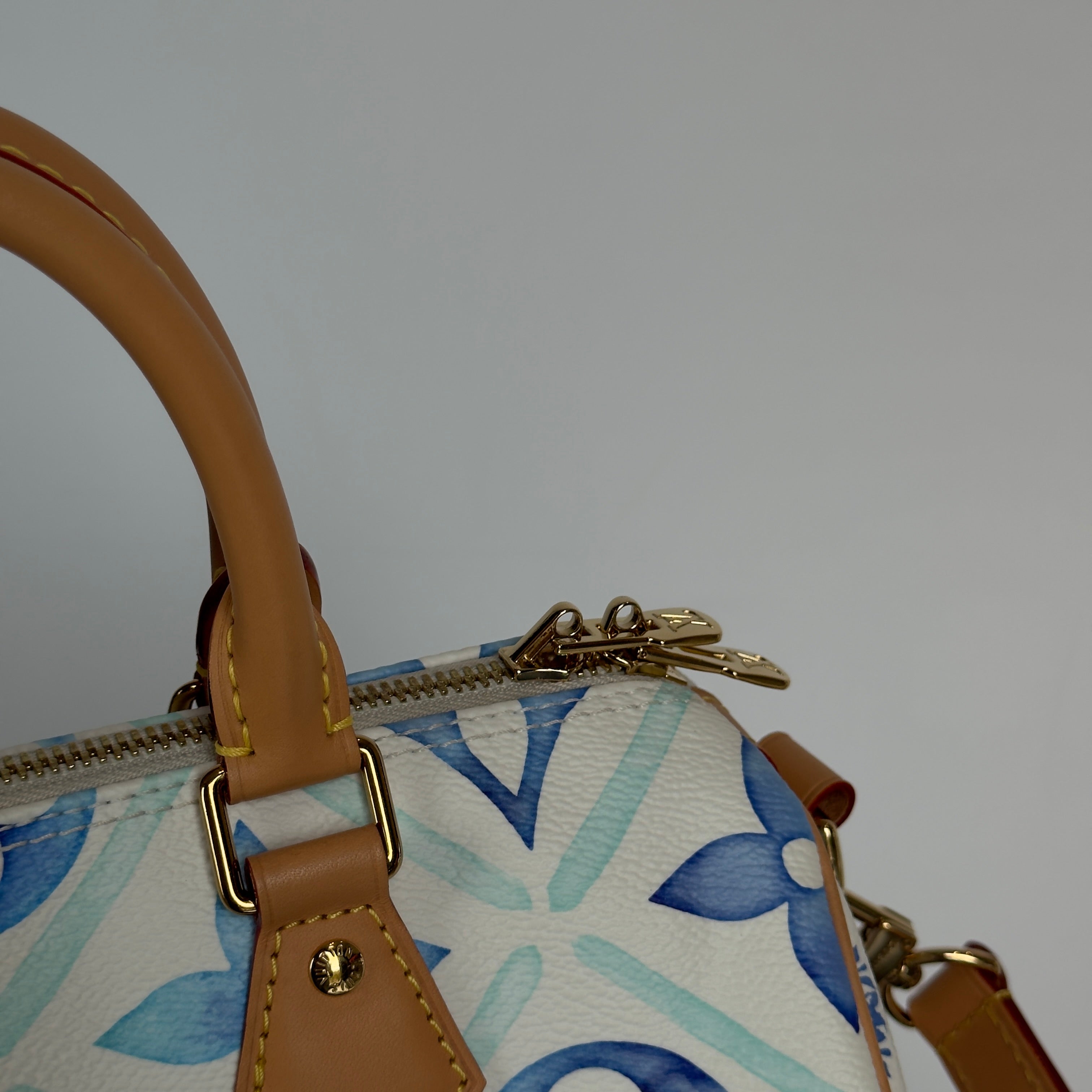 Louis Vuitton Speedy 25 Bandouliere By The Pool - Queen May