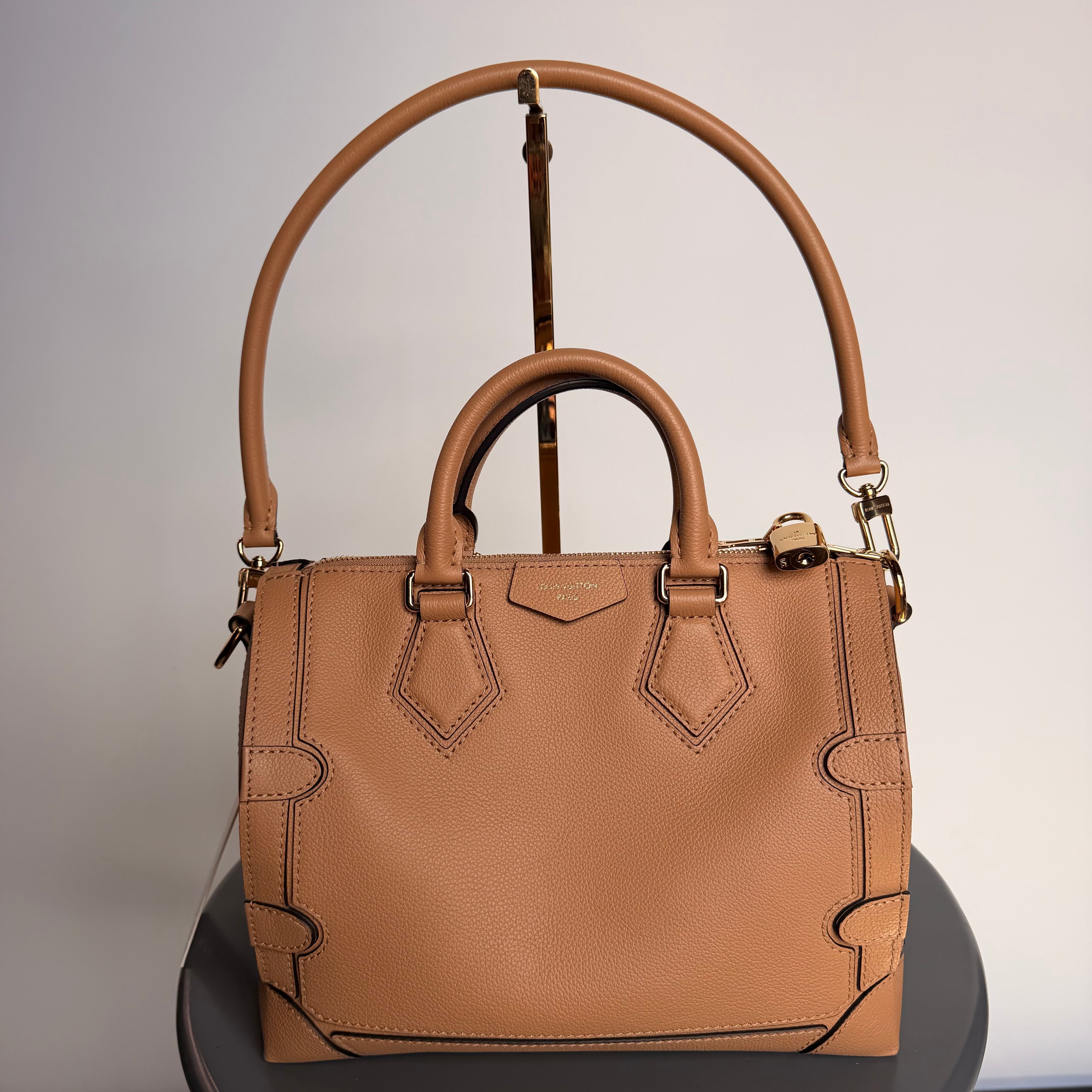 Louis Vuitton Speedy 25 Silhouette