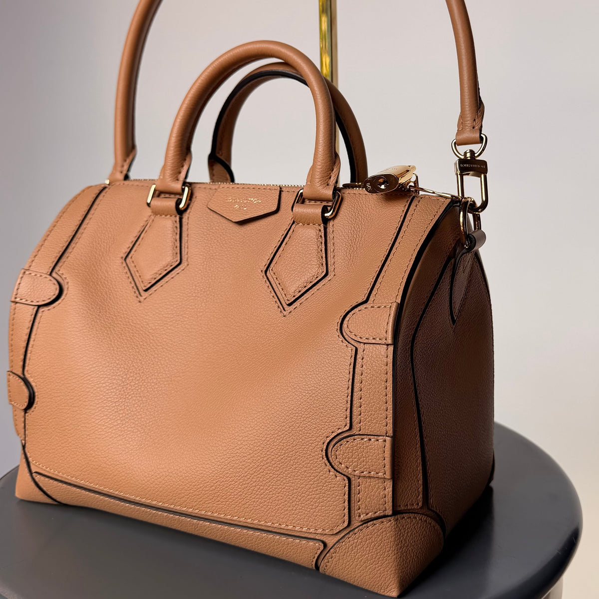Louis Vuitton Speedy 25 Silhouette