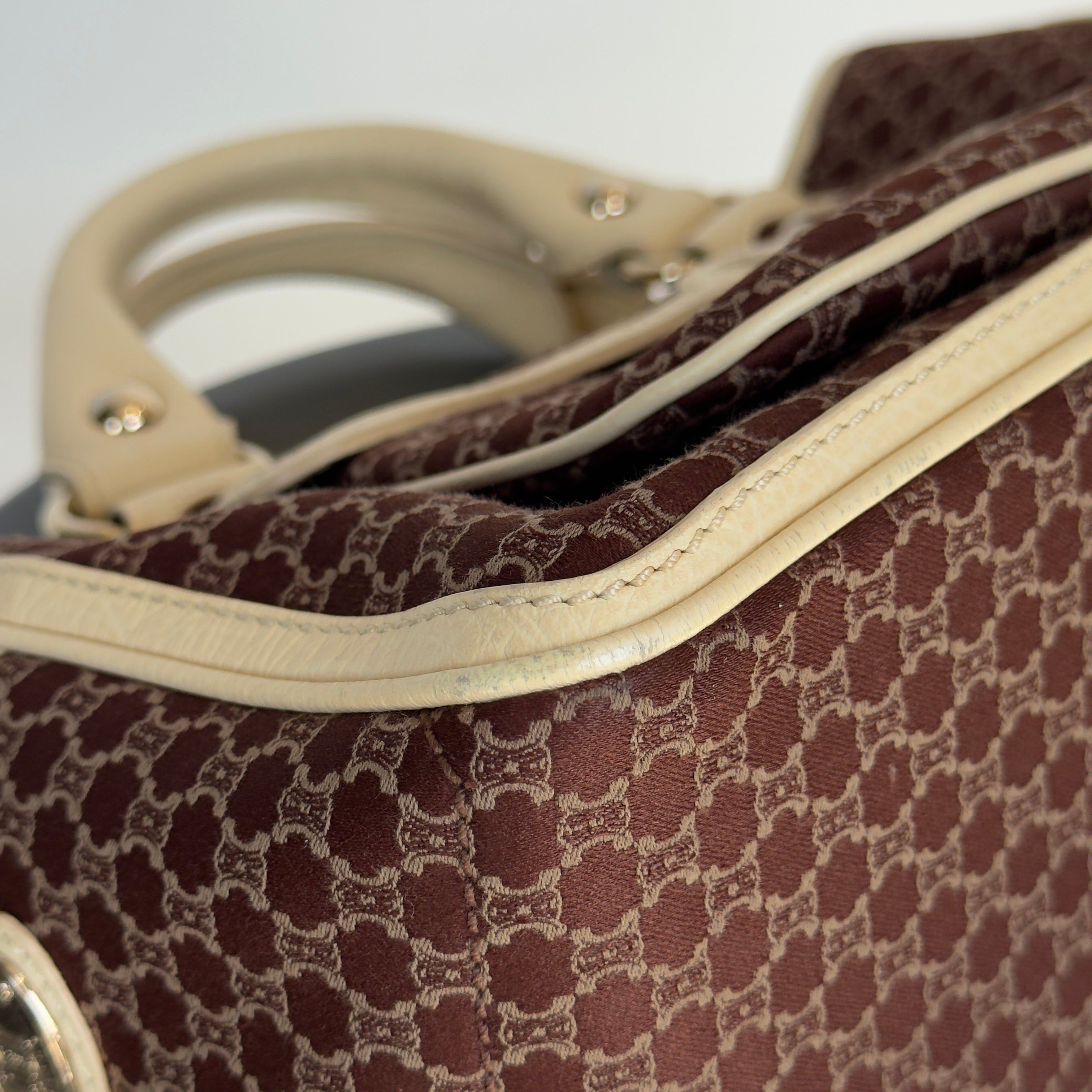 Celine Triomphe Canvas Boogie Bag