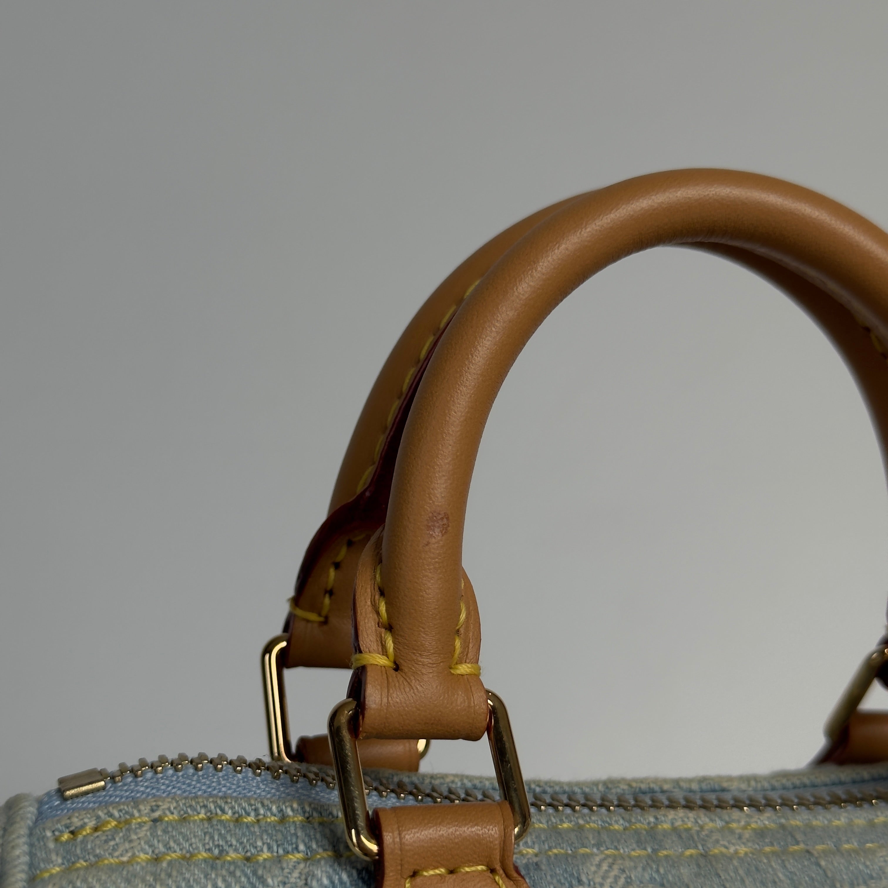Louis Vuitton Denim Monogram Speedy Nano