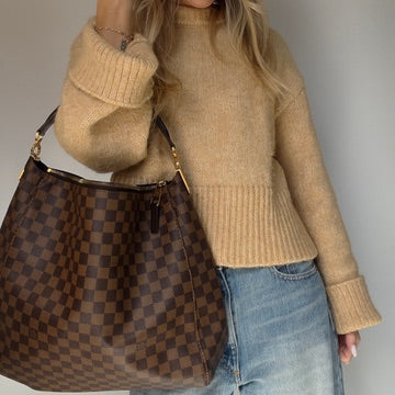 Louis Vuitton Damier Ebene Delightful Handbag - Queen May