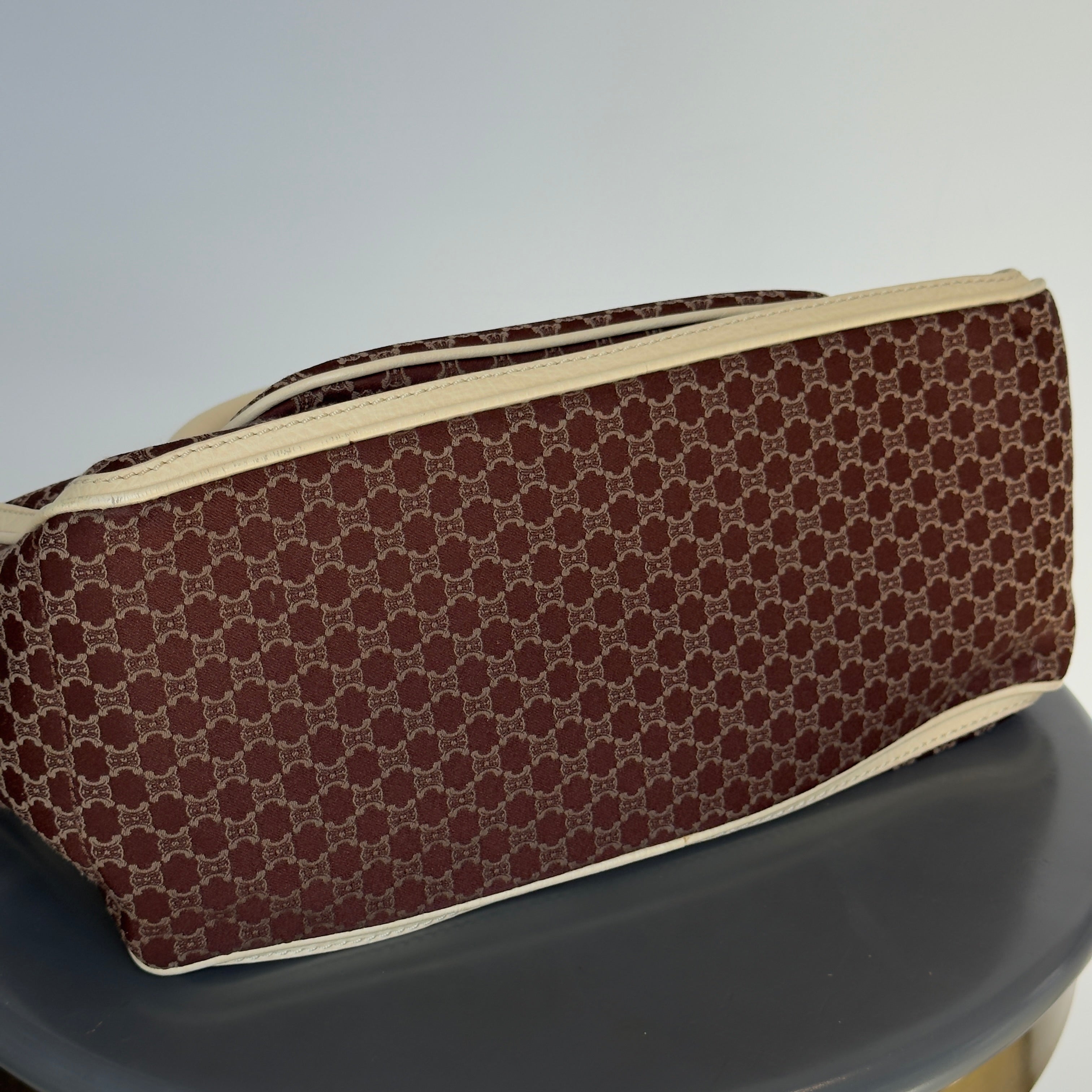 Celine Triomphe Canvas Boogie Bag