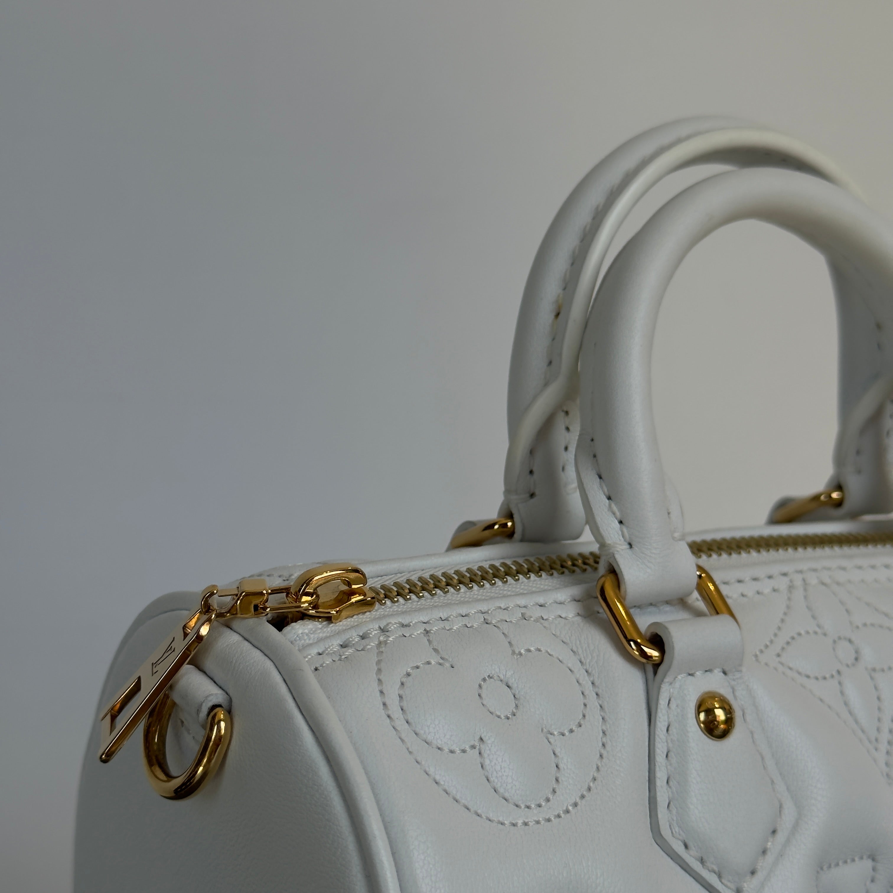 Louis Vuitton Calfskin Bubblegram Papillon BB Snow White