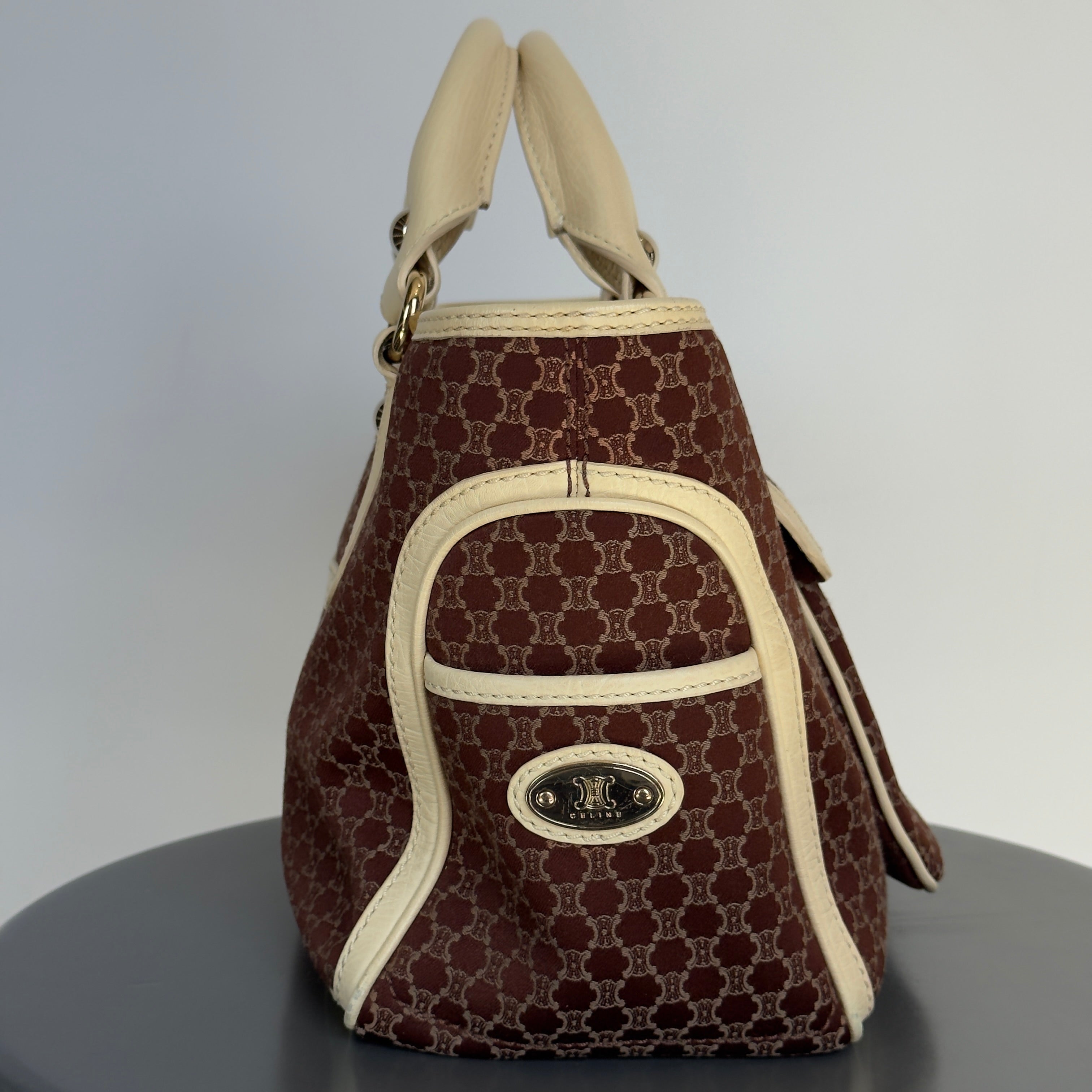 Celine Triomphe Canvas Boogie Bag