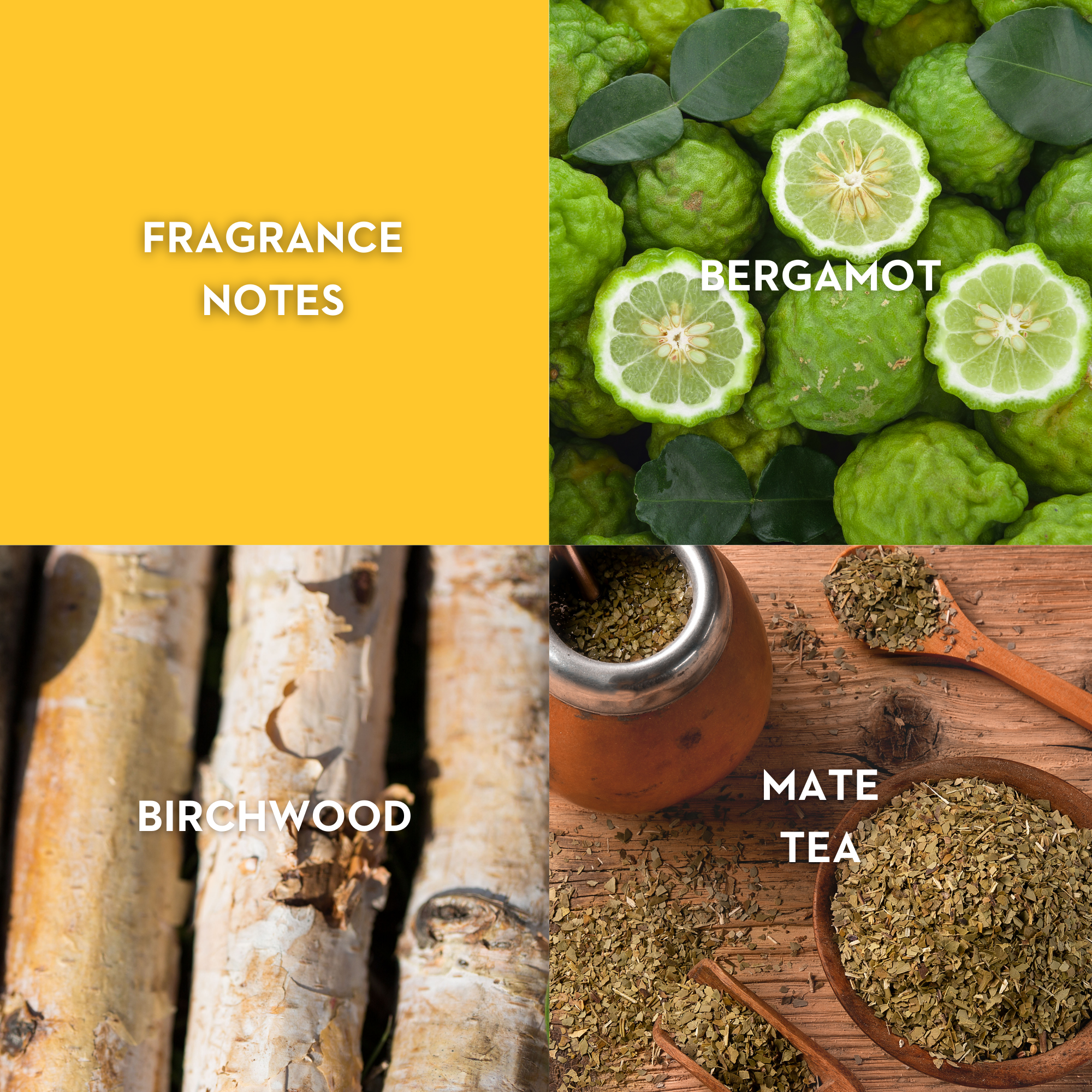 Vilhelm Parfumerie Black Citrus Eau de Parfum 50 ML - Queen May