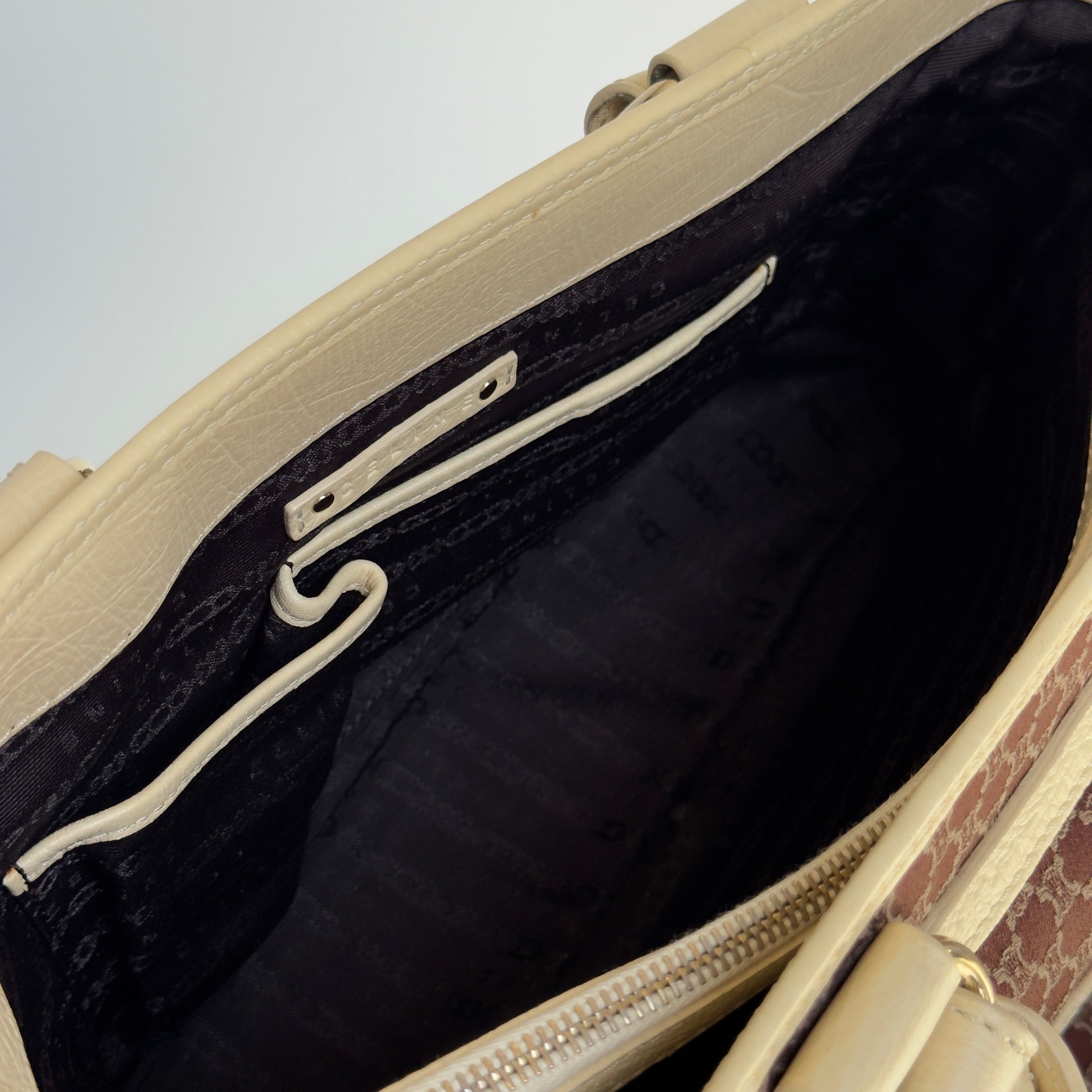 Celine Triomphe Canvas Boogie Bag