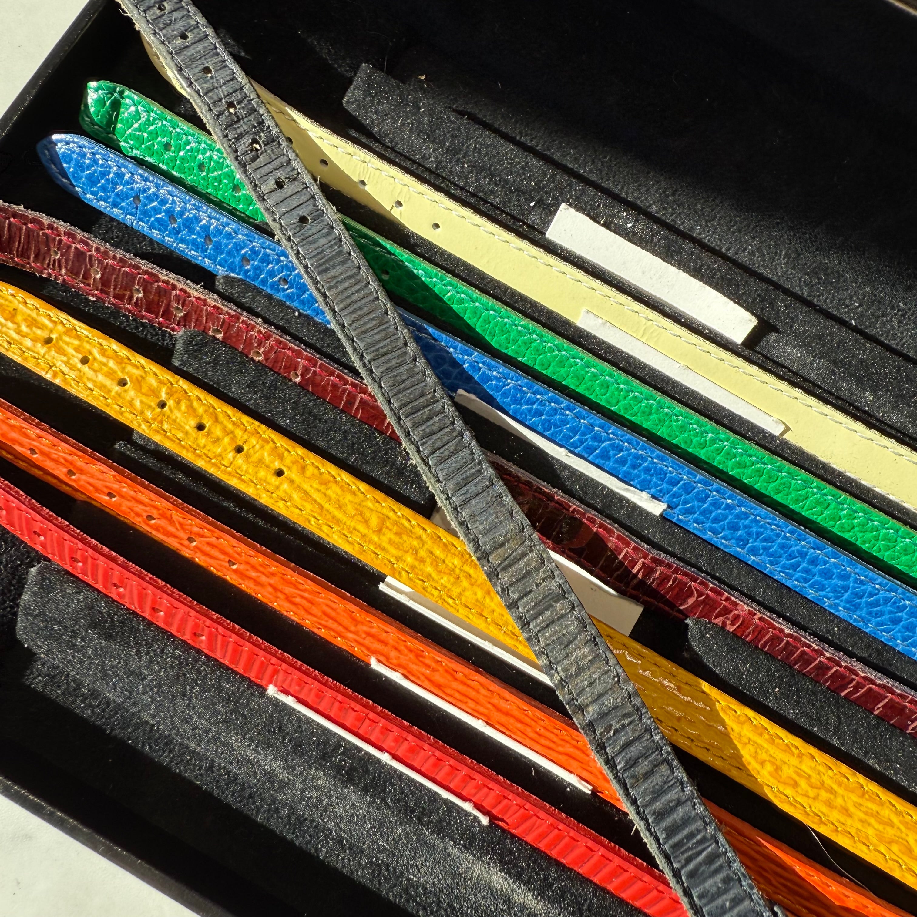 Fendi 640L Chameleon Watch With Eight Interchangeable Straps - Queen May