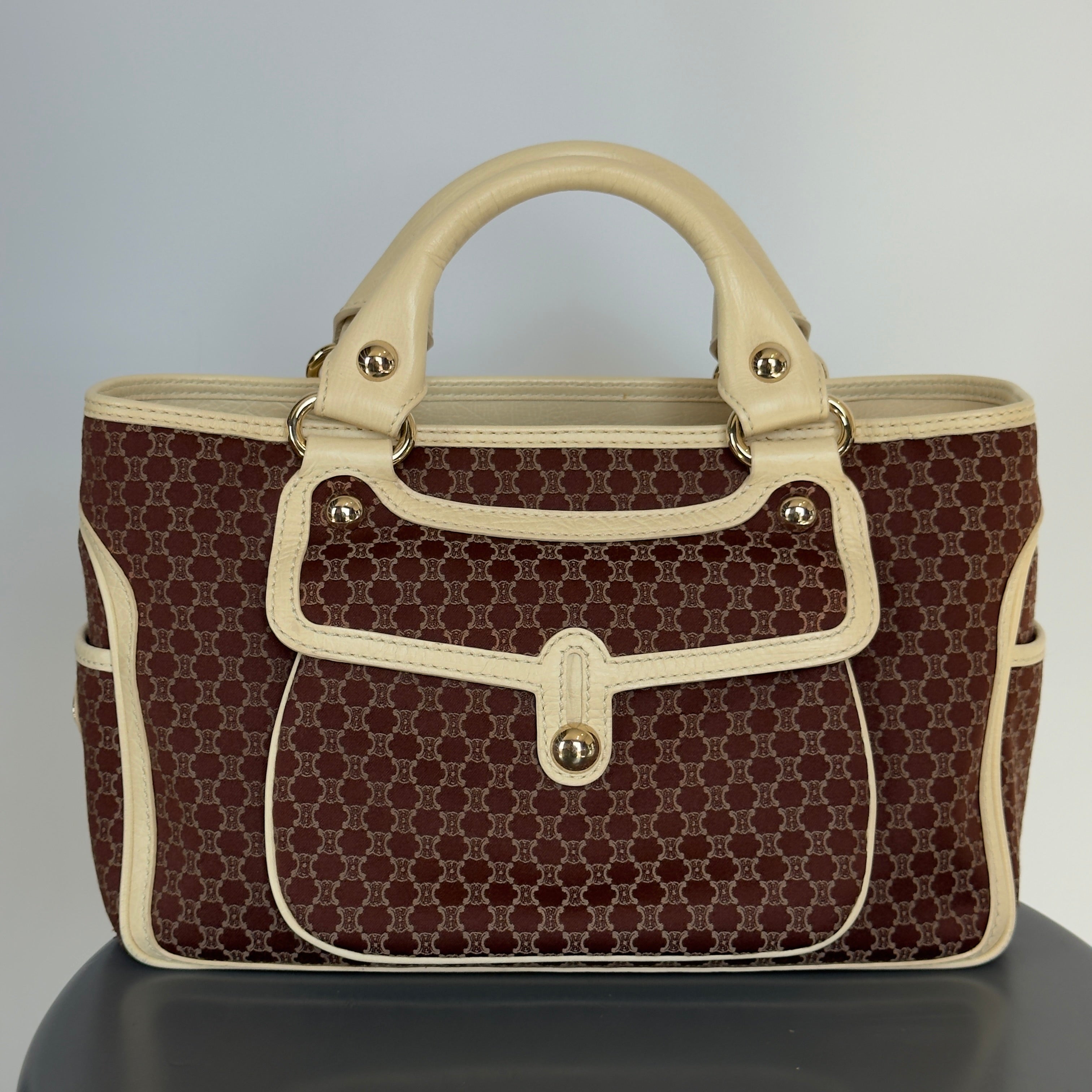 Celine Triomphe Canvas Boogie Bag