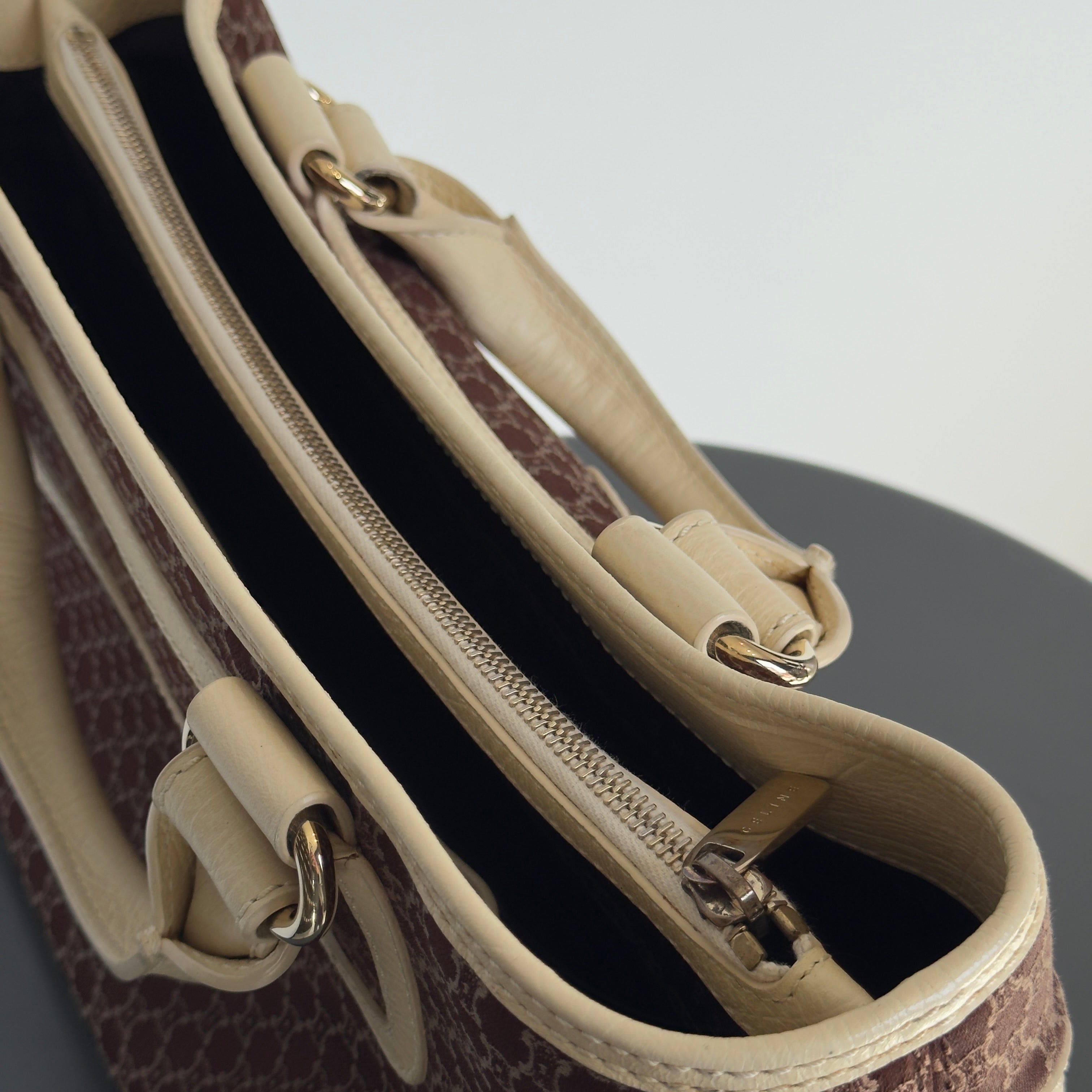 Celine Triomphe Canvas Boogie Bag