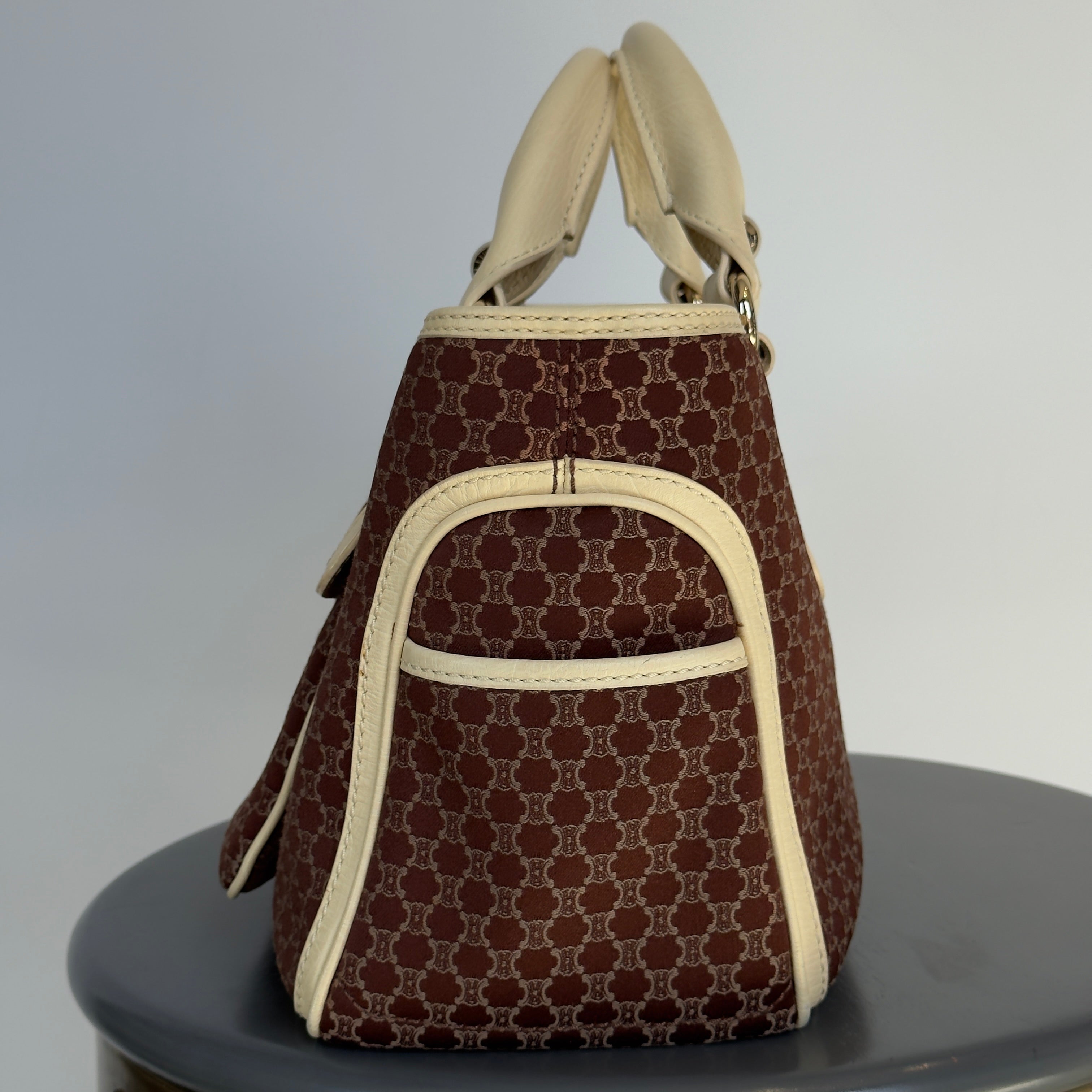 Celine Triomphe Canvas Boogie Bag