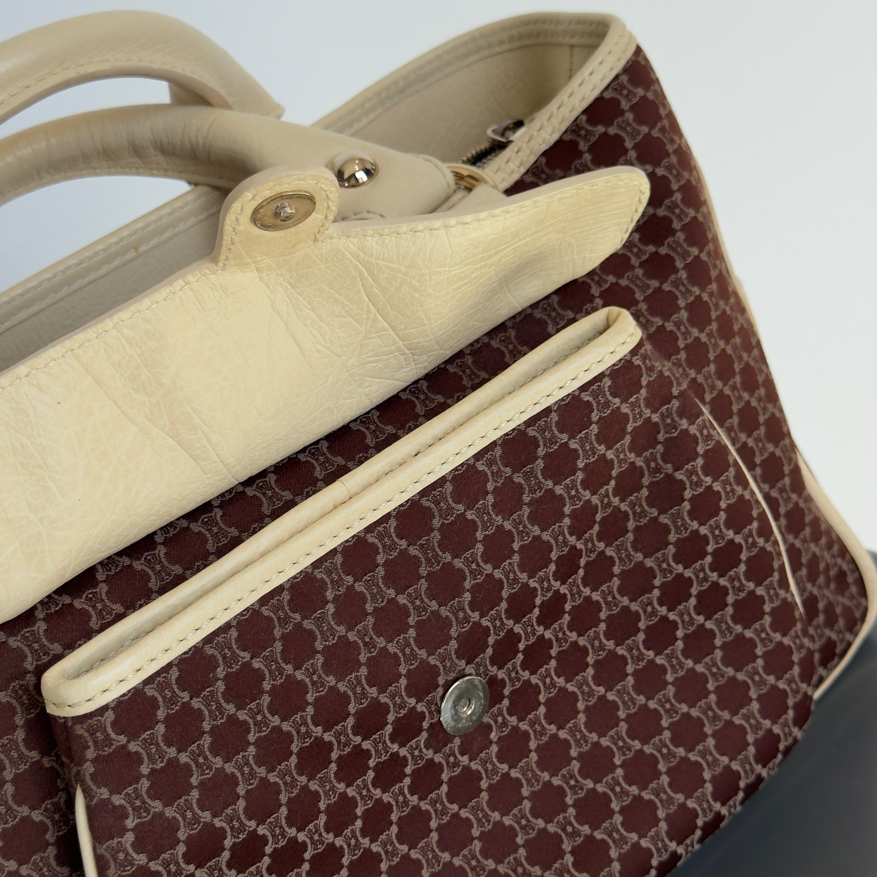 Celine Triomphe Canvas Boogie Bag