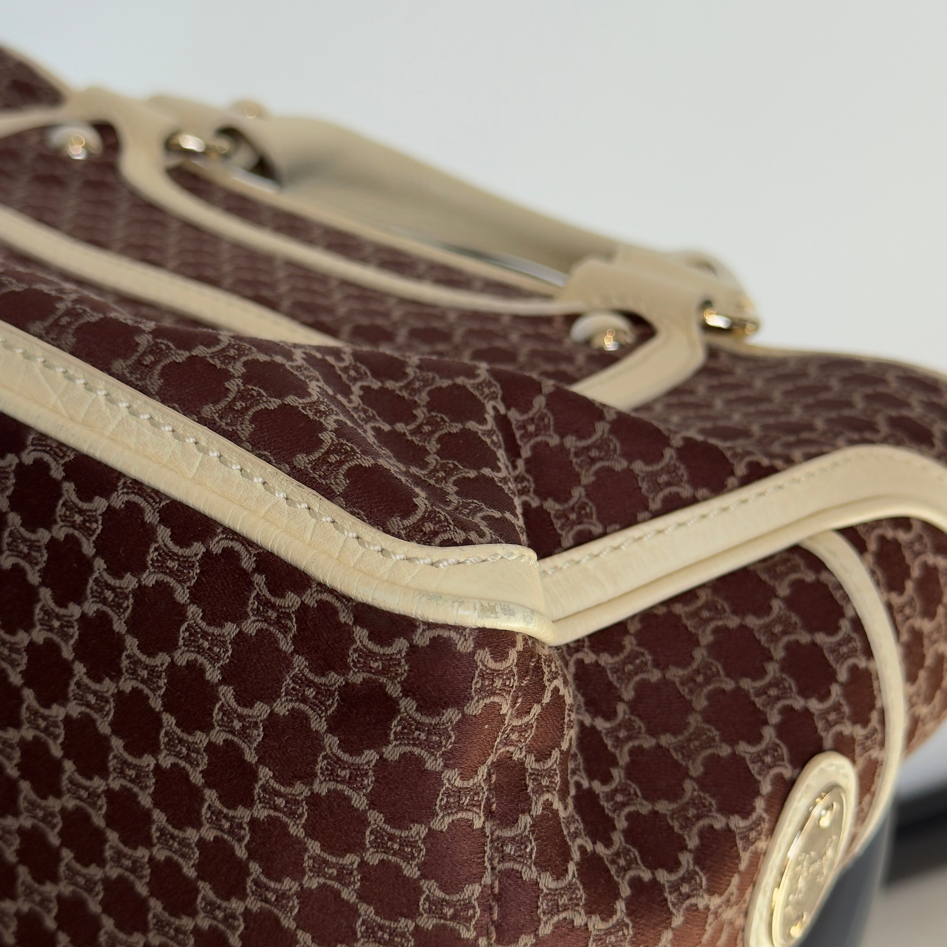 Celine Triomphe Canvas Boogie Bag