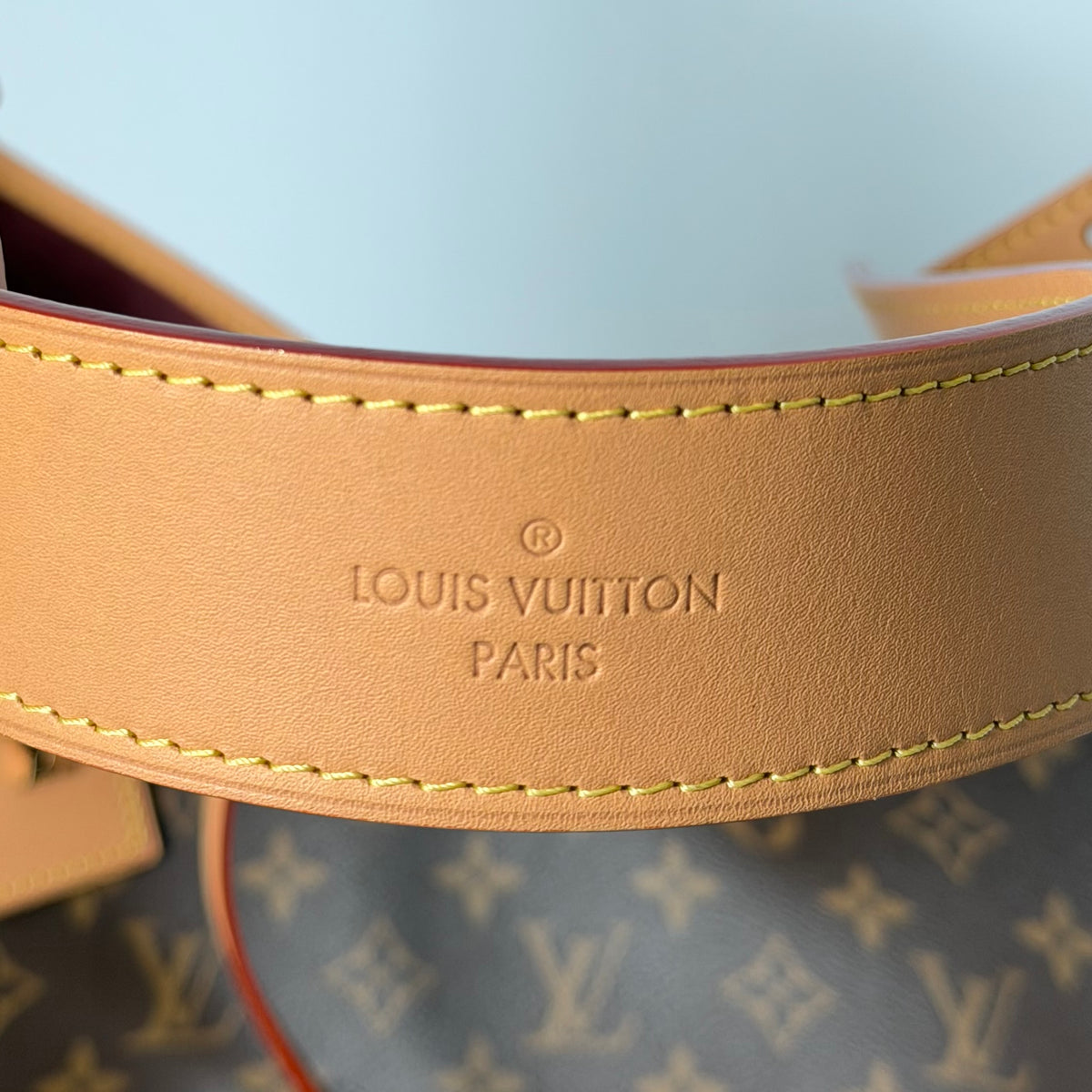 Louis Vuitton Carryall MM Hobo