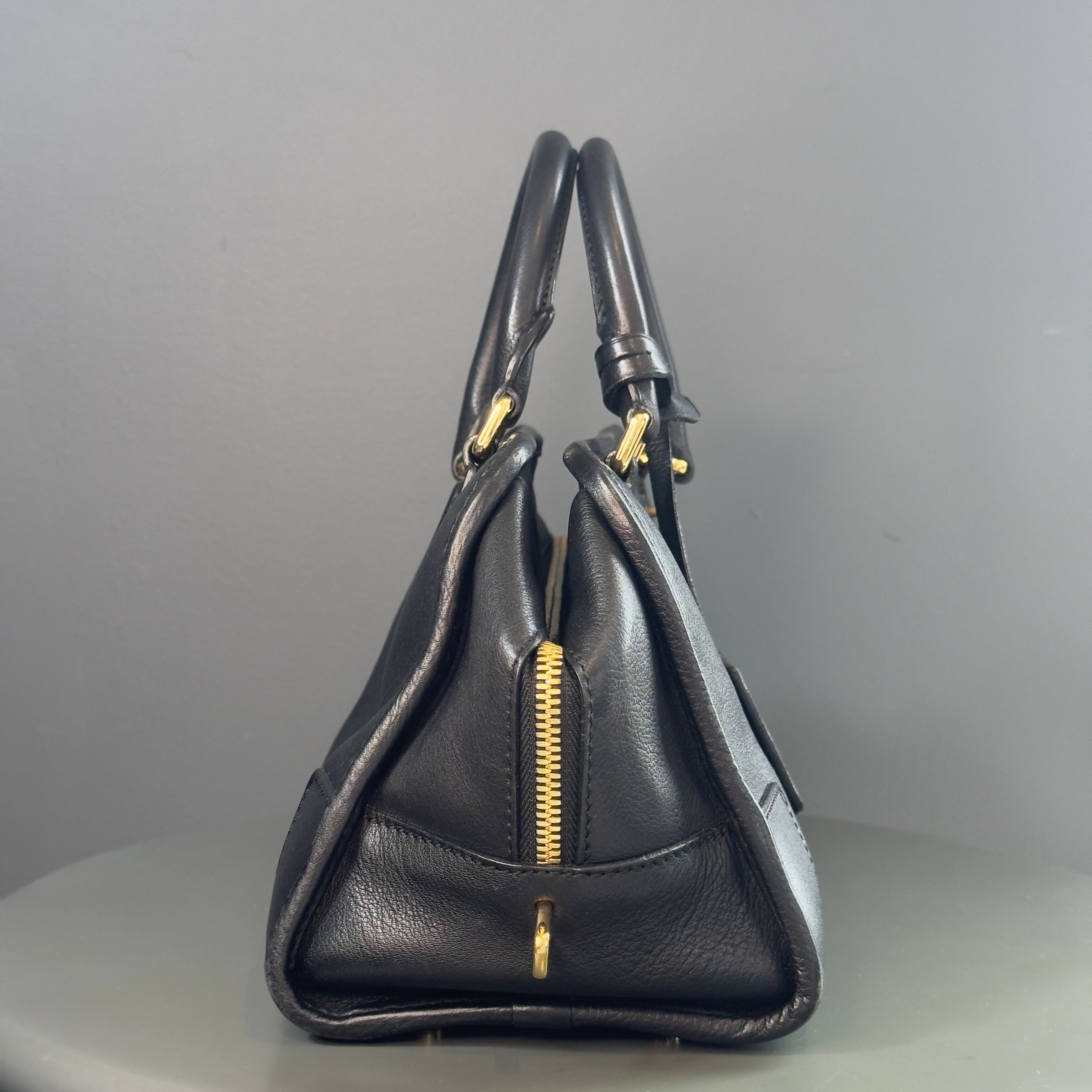 Loewe Leather Amazona 28 - Queen May