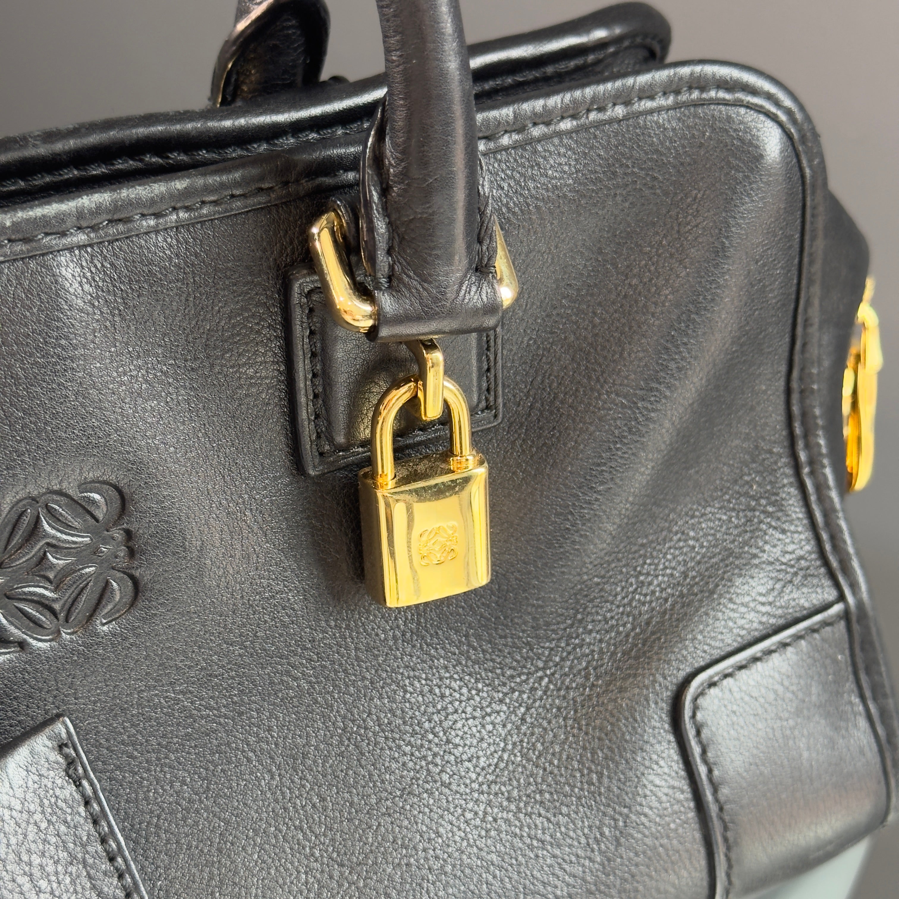 Loewe Leather Amazona 28 - Queen May