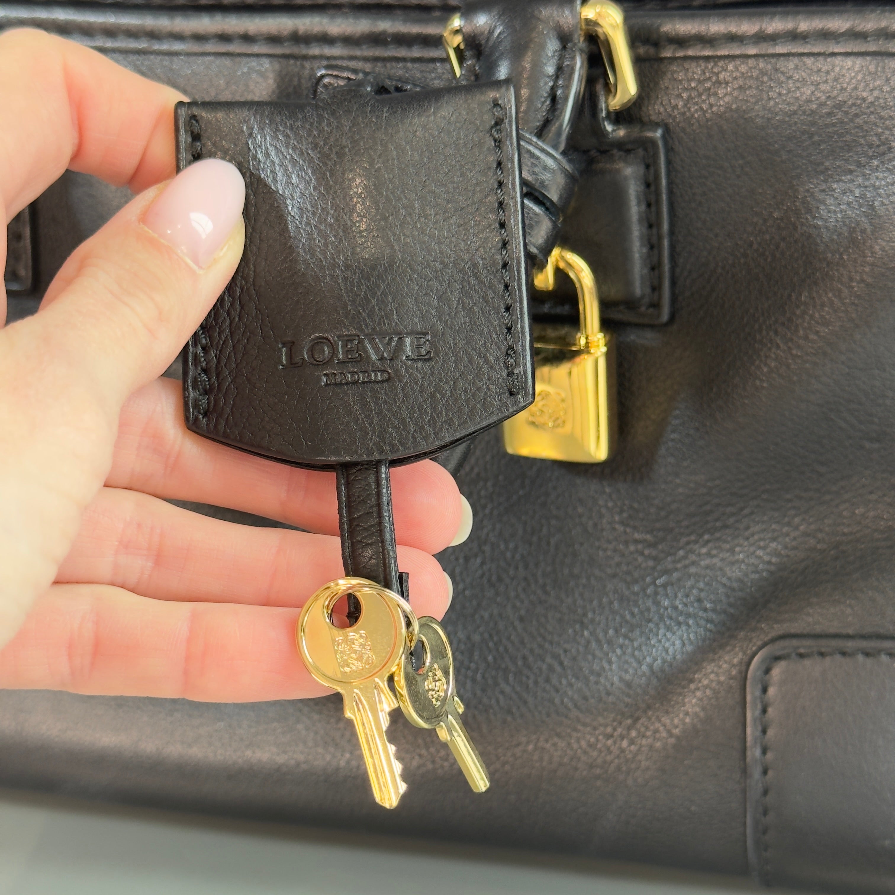 Loewe Leather Amazona 28 - Queen May