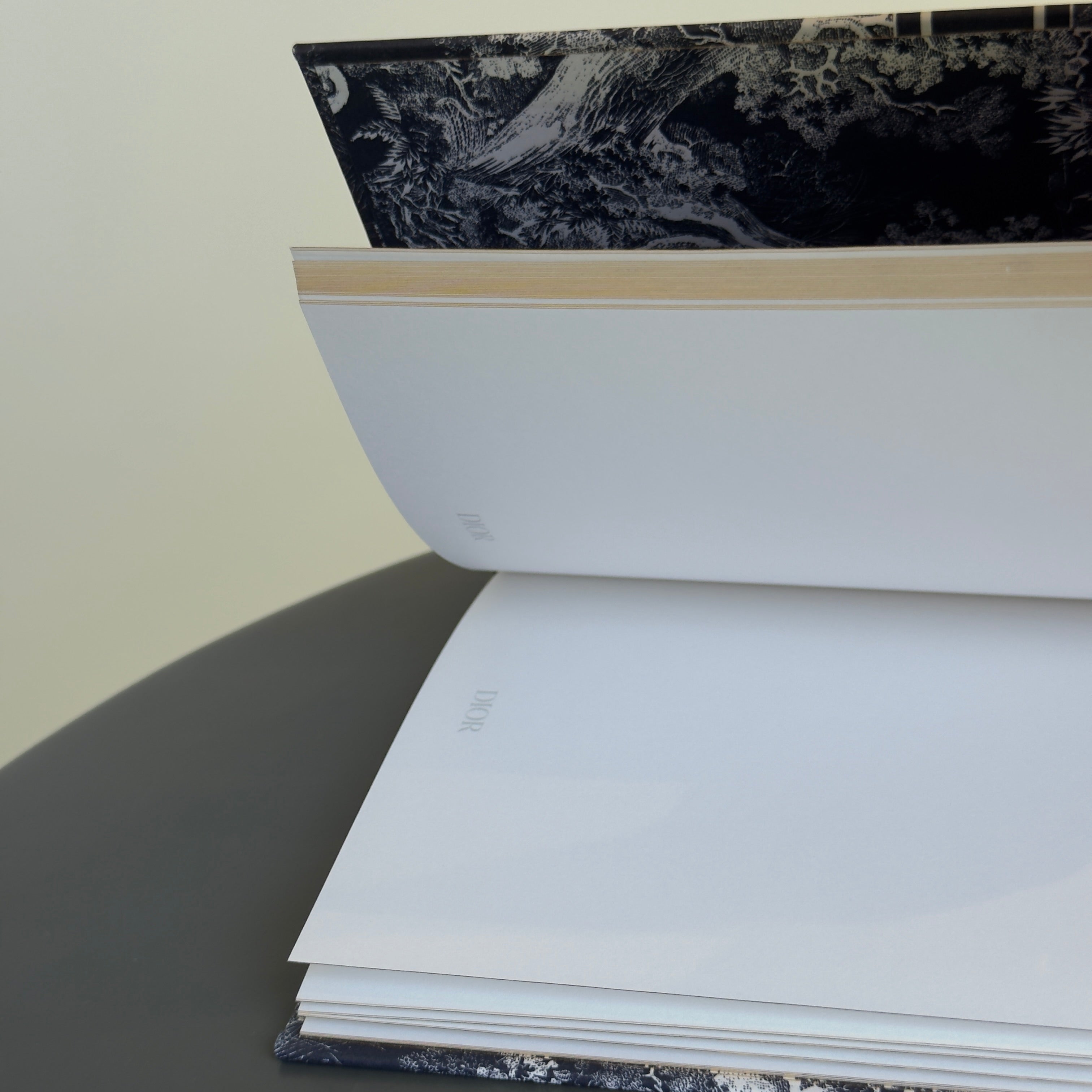 Dior Notebook - Queen May