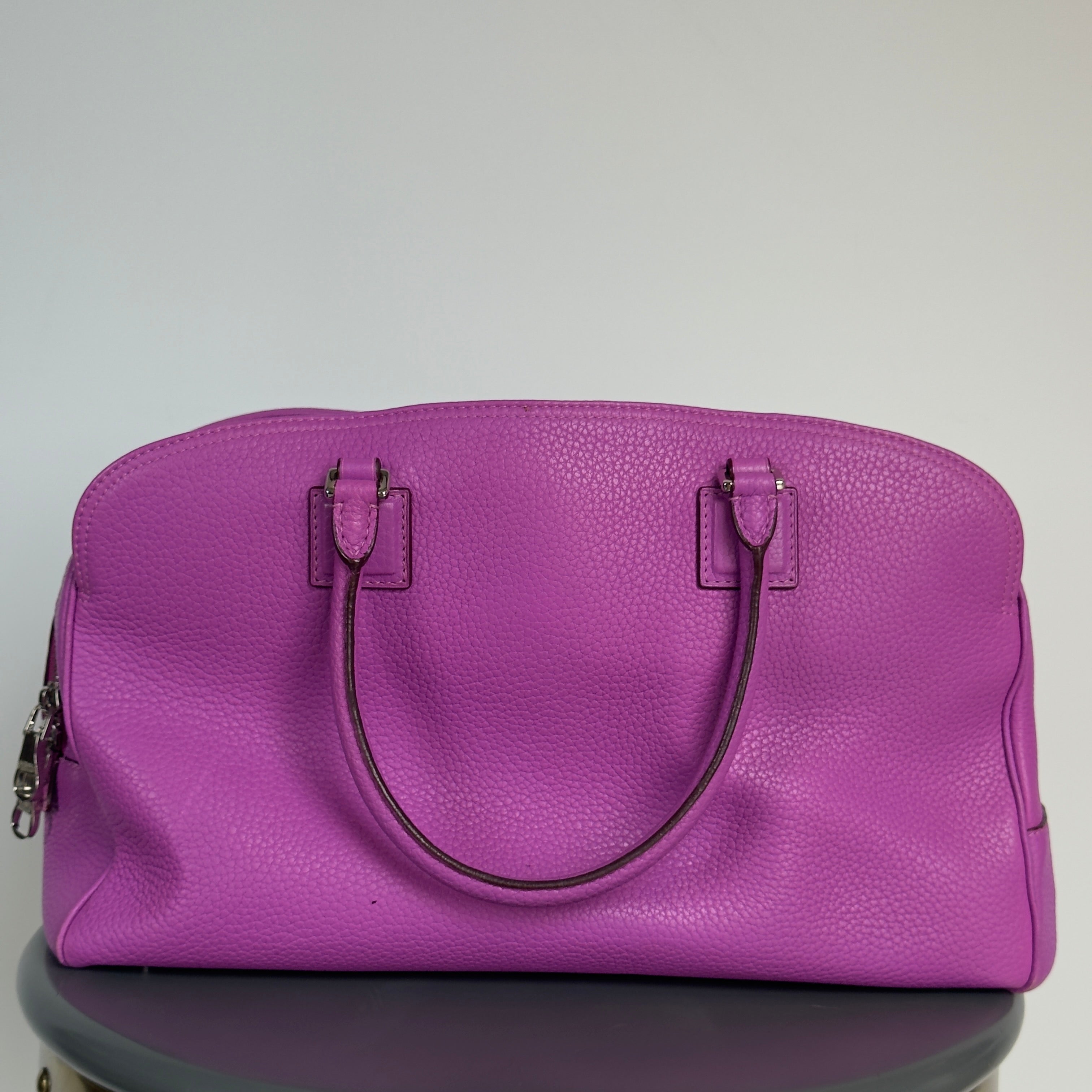 Loewe Fuchsia Amazona Bag - Queen May
