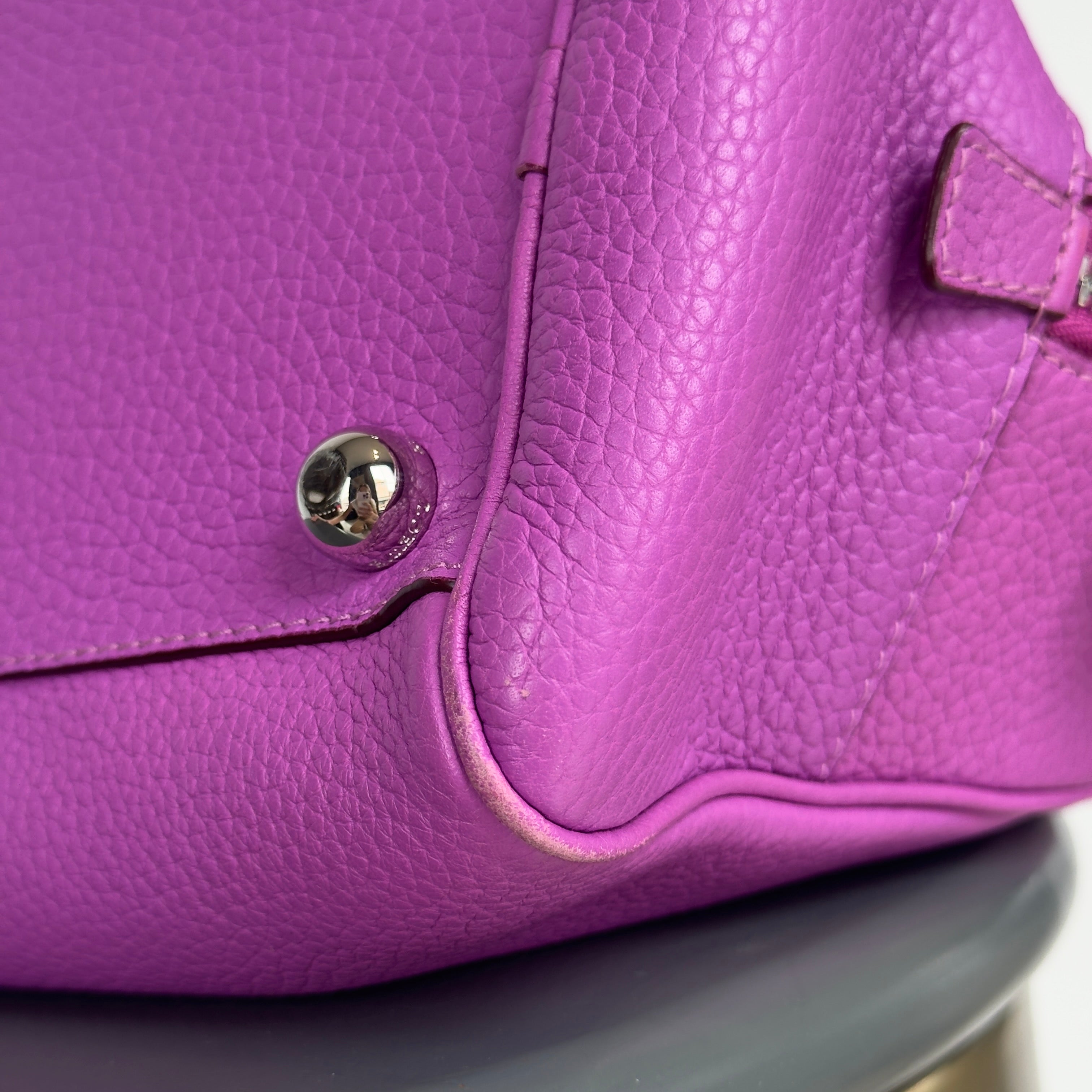 Loewe Fuchsia Amazona Bag - Queen May
