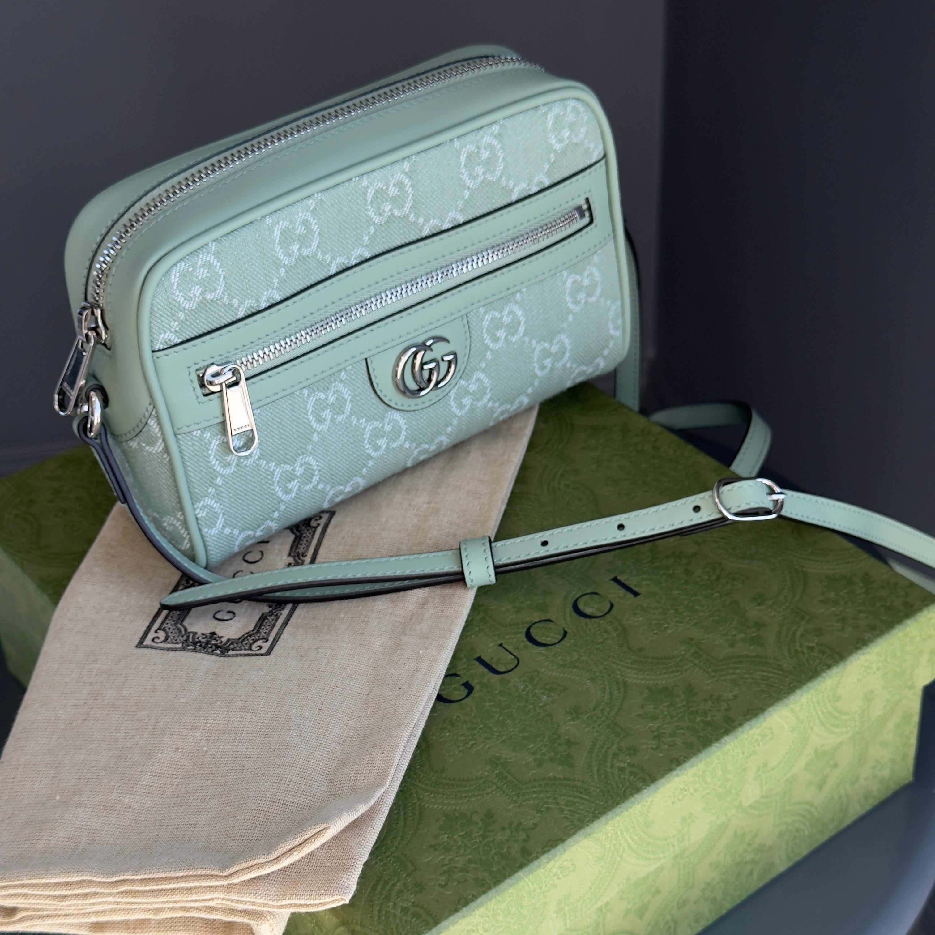 Gucci Ophidia Mini Bag in Pale Green Denim - Queen May