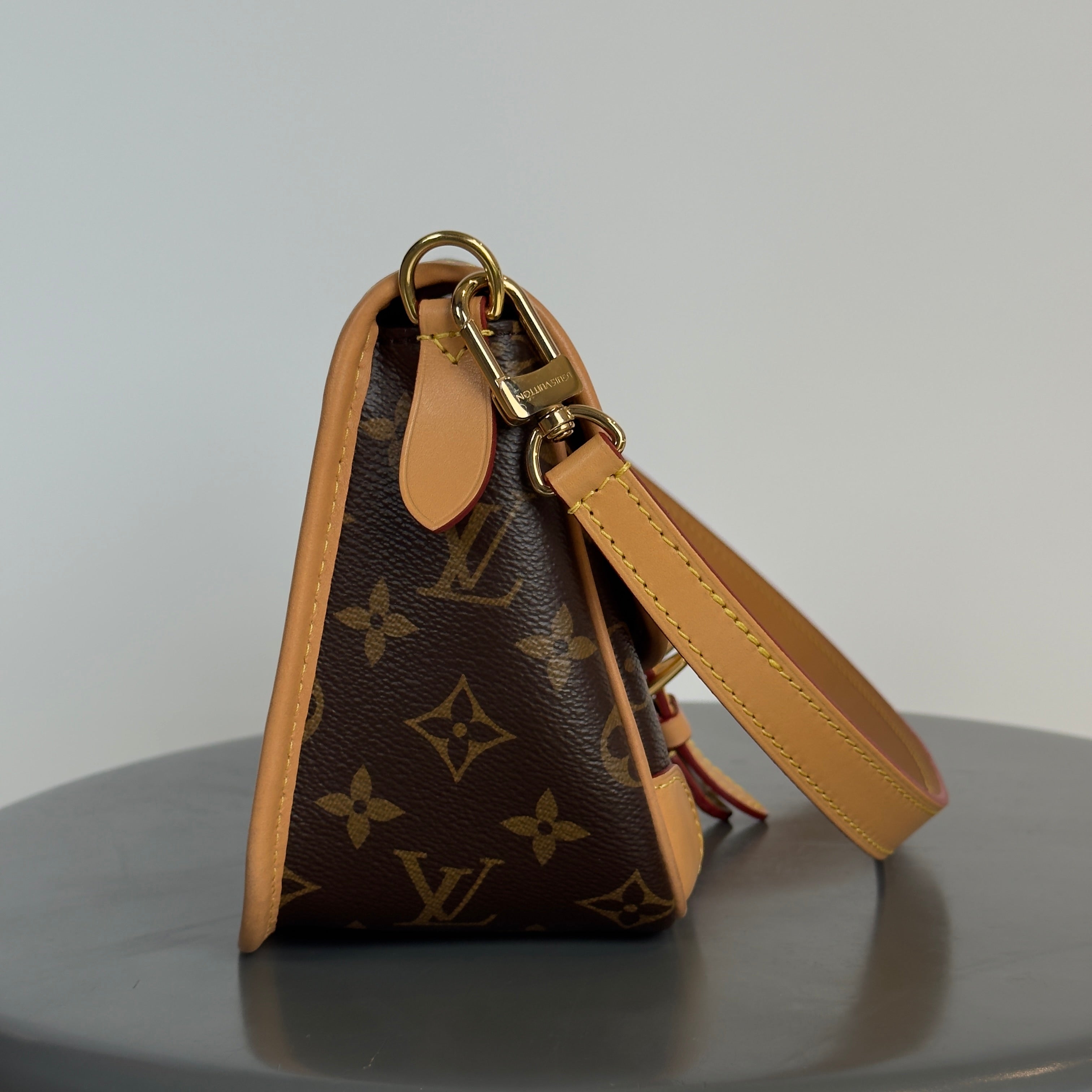 Louis Vuitton Monogram Diane - Queen May