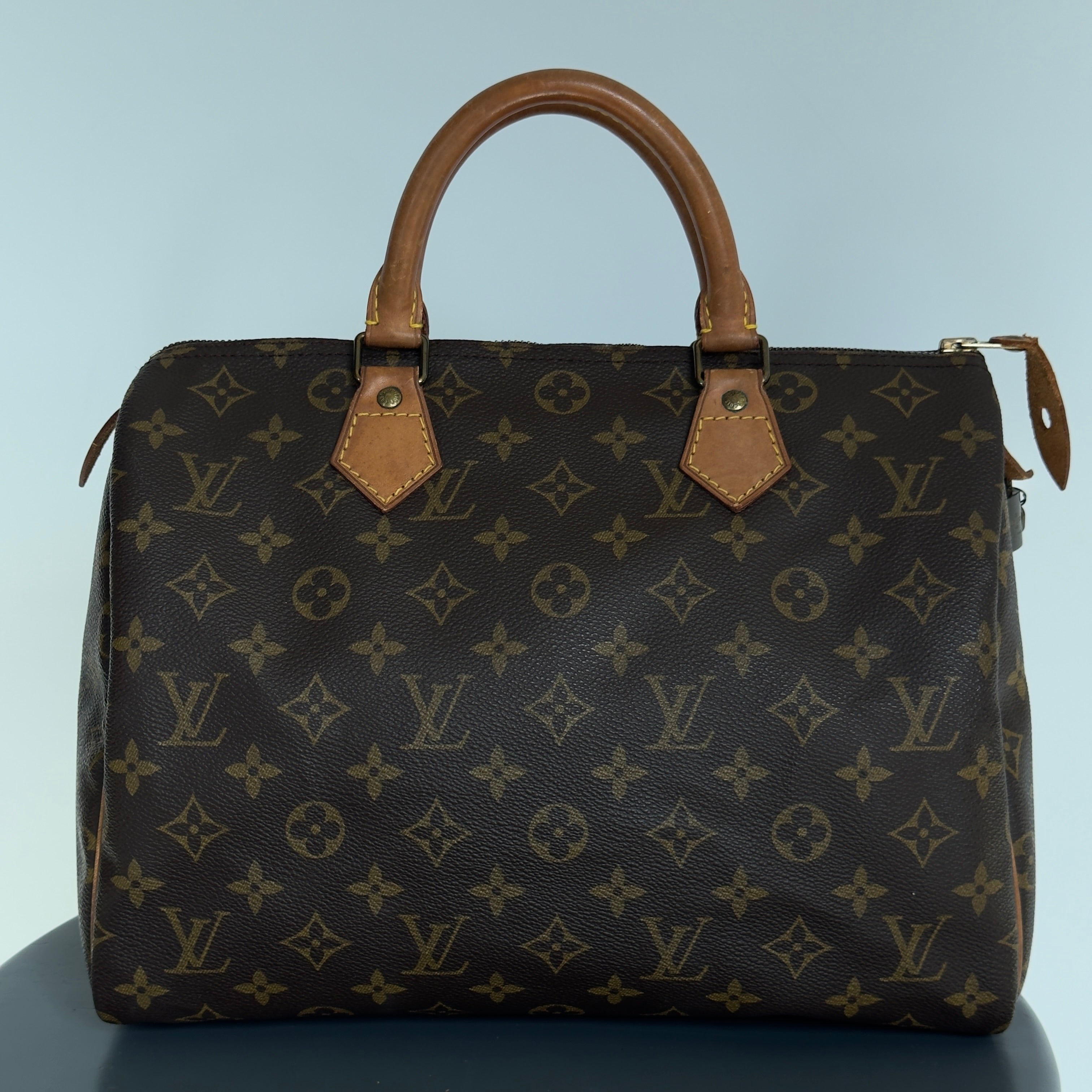 Louis Vuitton Monogram Speedy 30 - Queen May