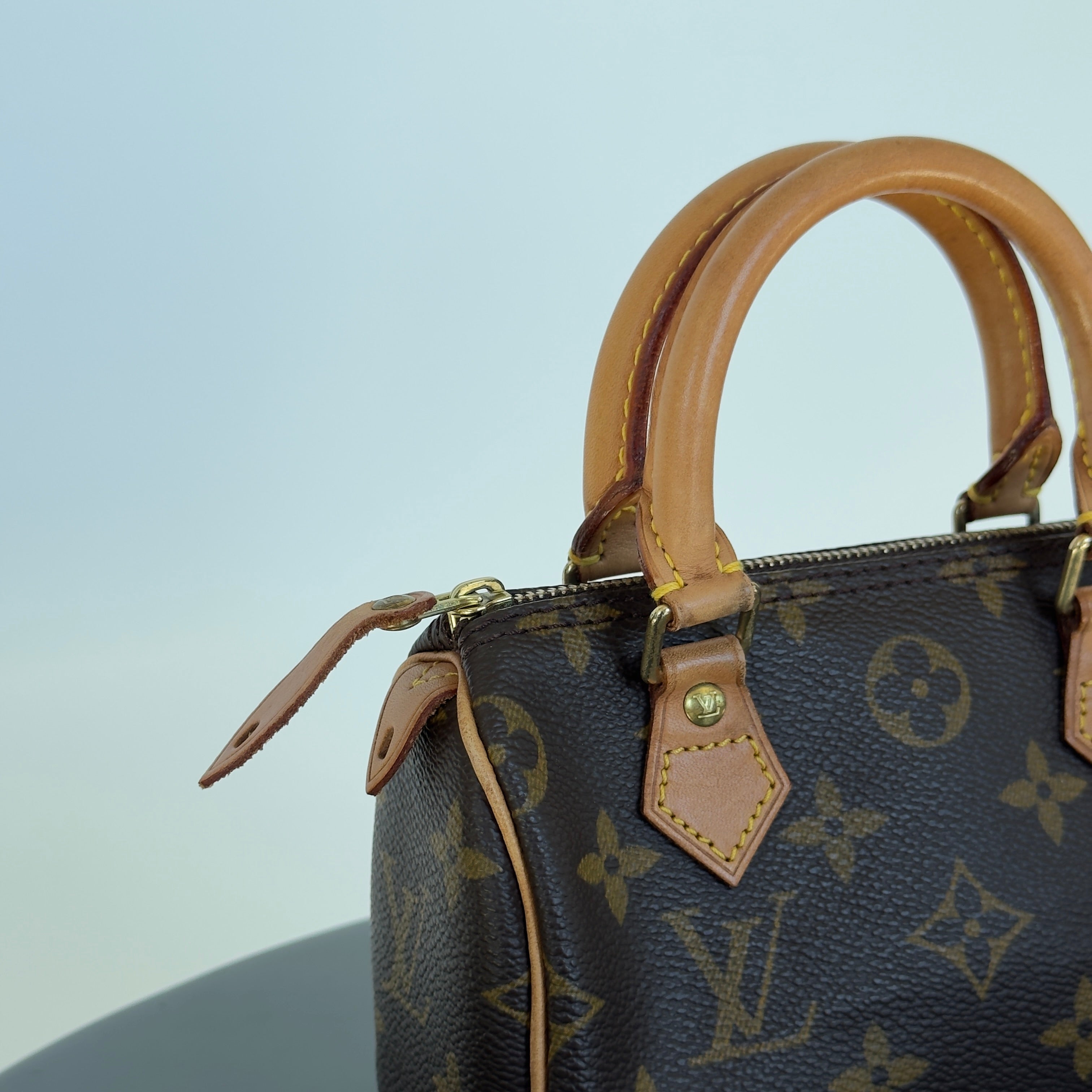 Louis Vuitton Monogram Mini Speedy With Strap - Queen May