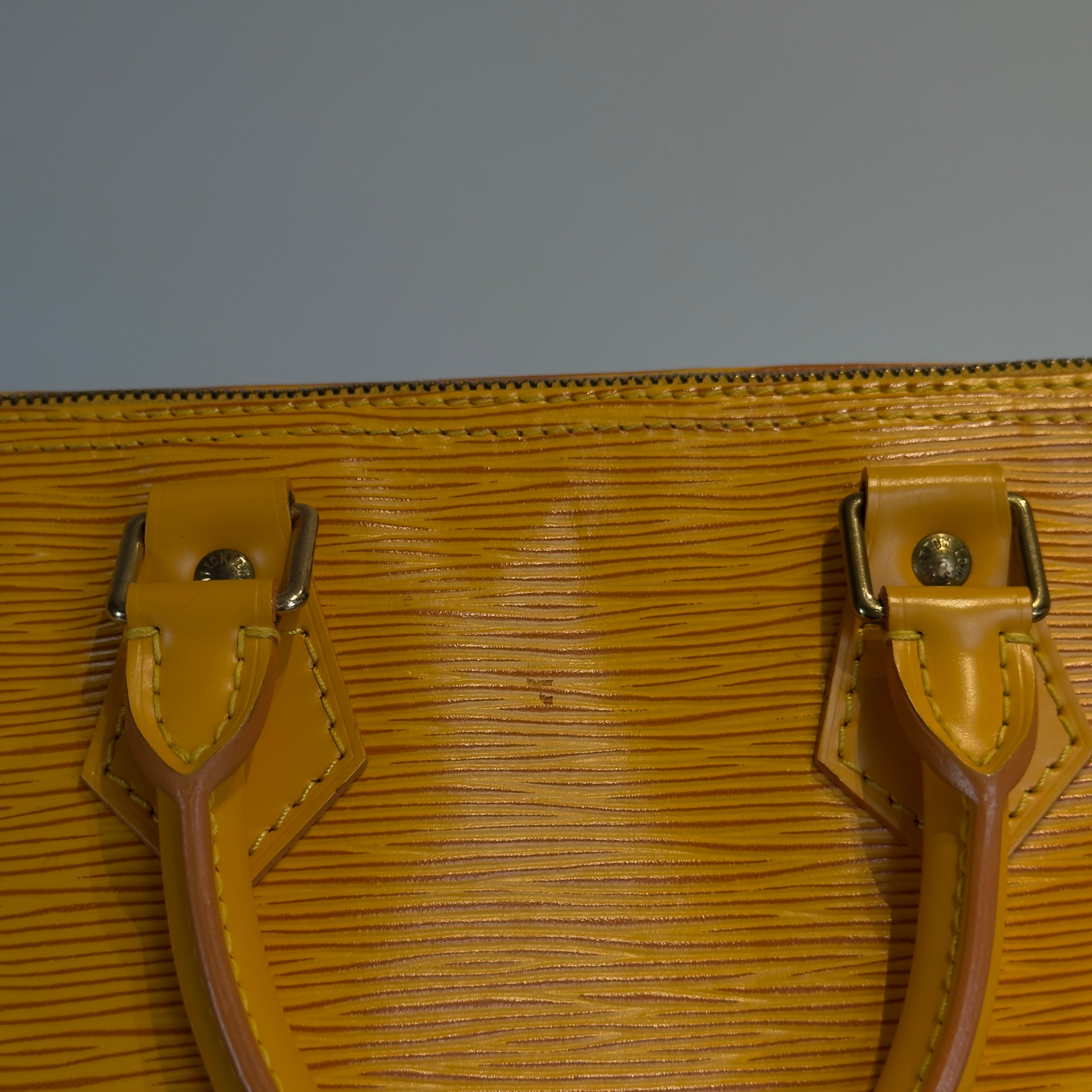 Louis Vuitton Epi Leather Speedy 25 - Queen May