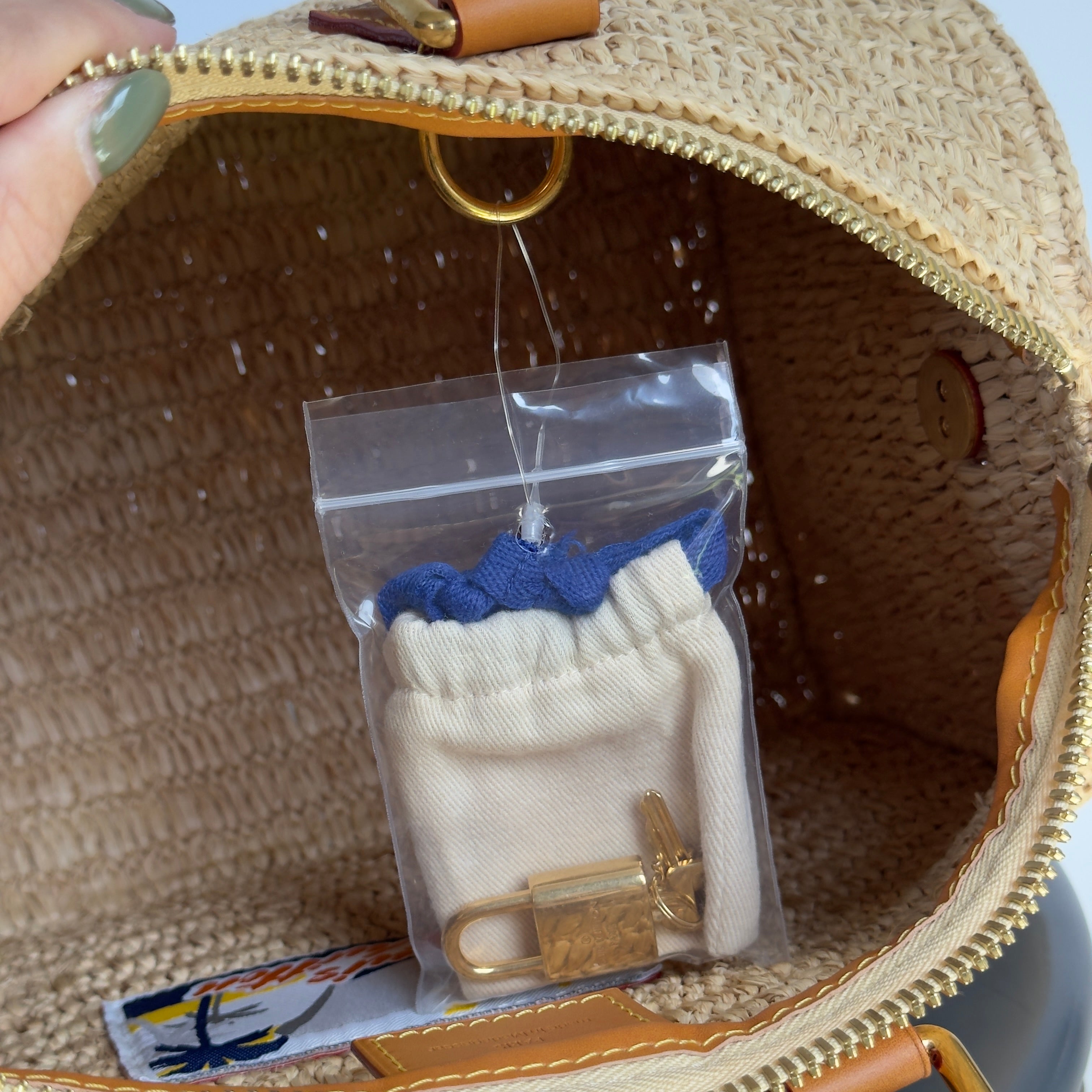 Louis Vuitton Speedy 30 Bandoulière Raffia - Queen May