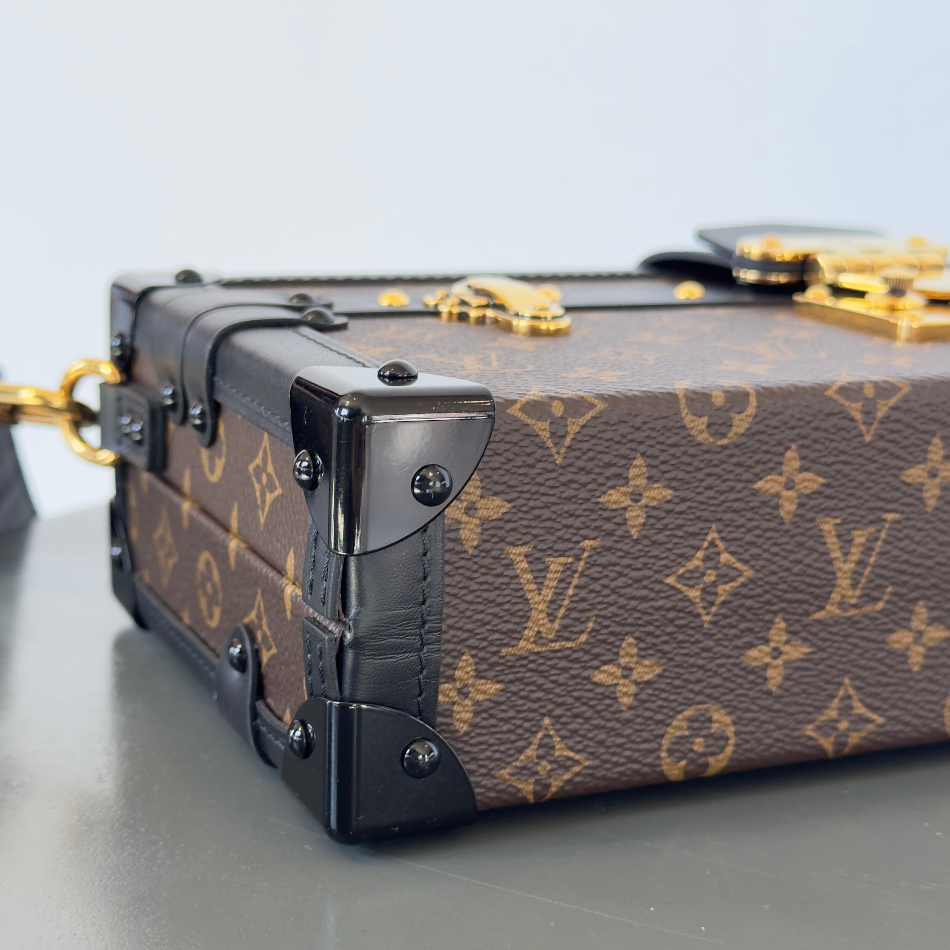 Louis Vuitton Limited Edition Runway Monogram Canvas Petite Malle East West Gold Hardware 2022 - Queen May
