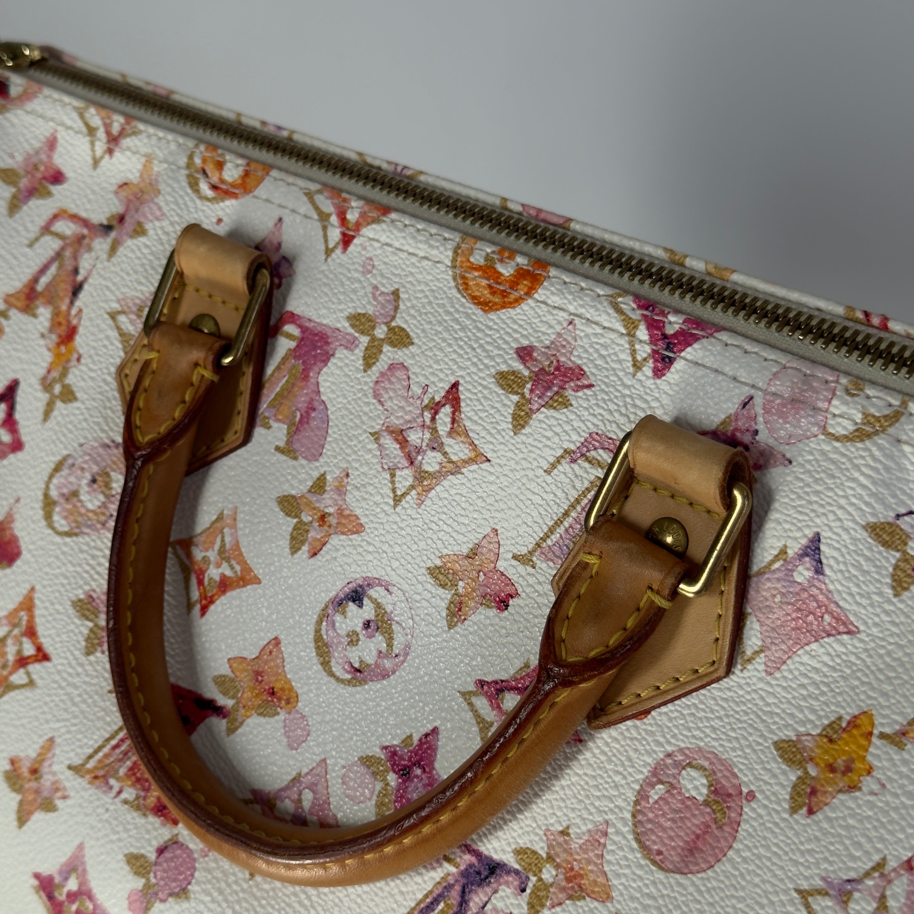Louis Vuitton x Richard Prince Speedy Monogram Watercolor 35 - Queen May