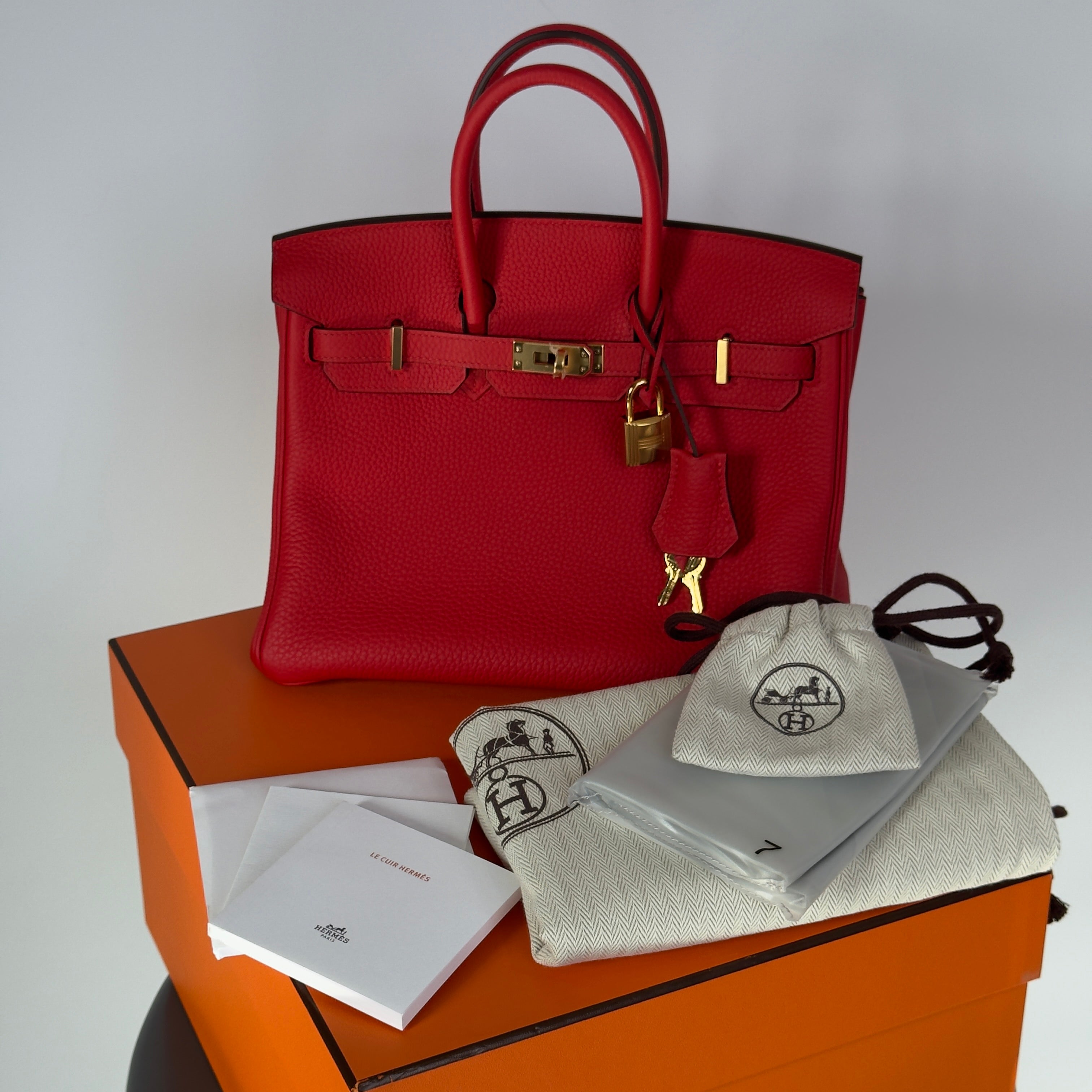 Hermes Birkin 25 Rouge De Coeur Togo Gold Toned Hardware - Queen May