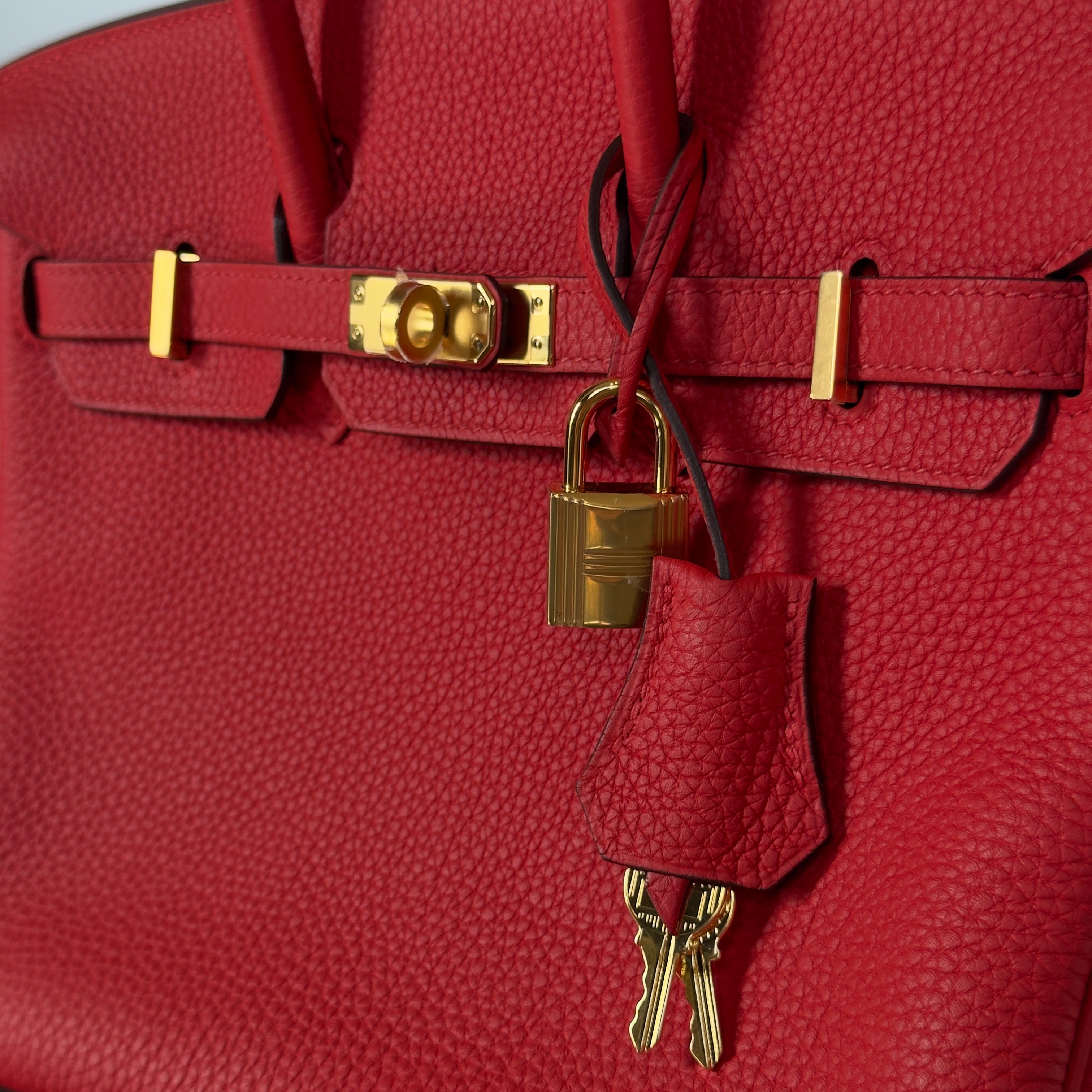 Hermes Birkin 25 Rouge De Coeur Togo Gold Toned Hardware - Queen May