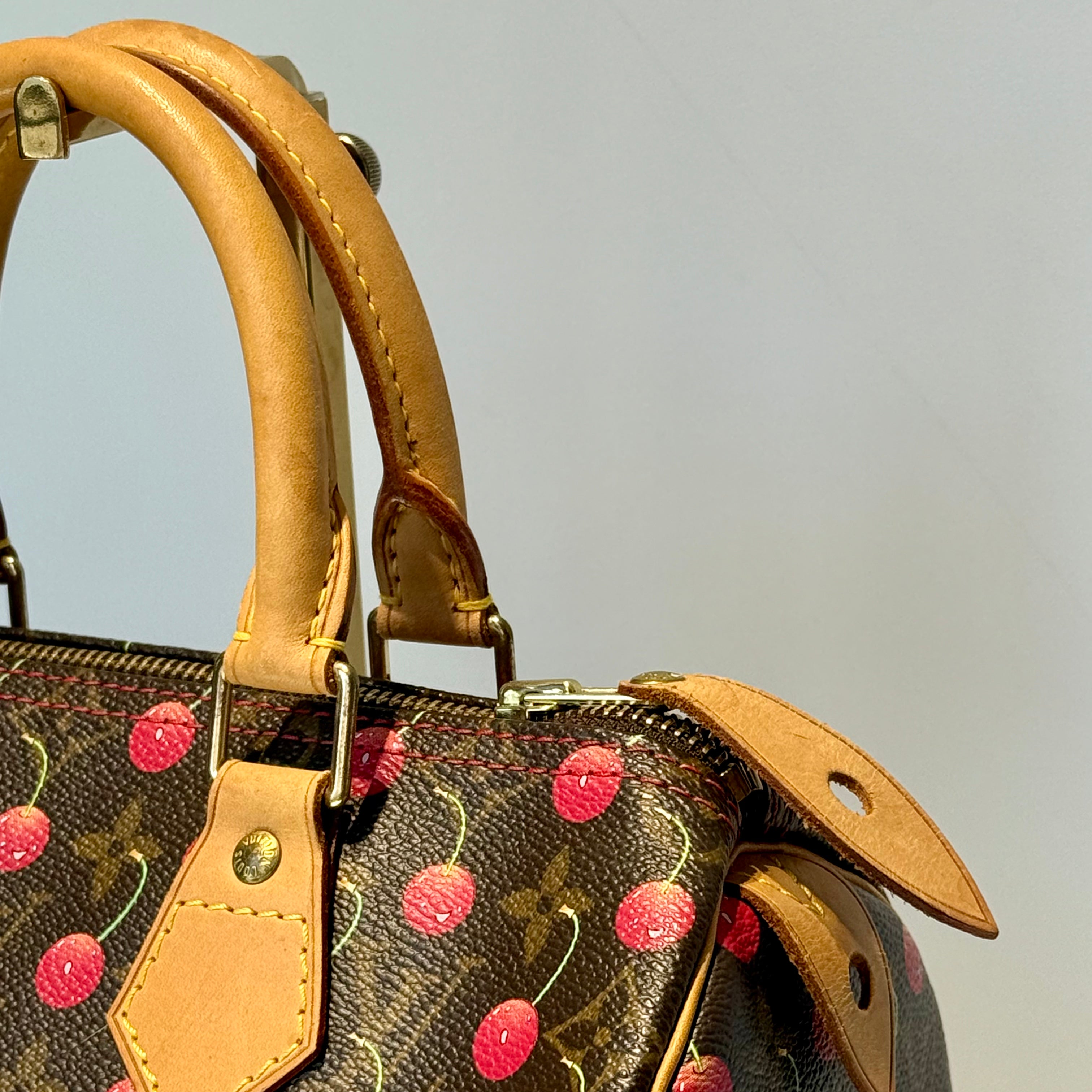 Louis Vuitton Cerise Speedy 25 - Queen May