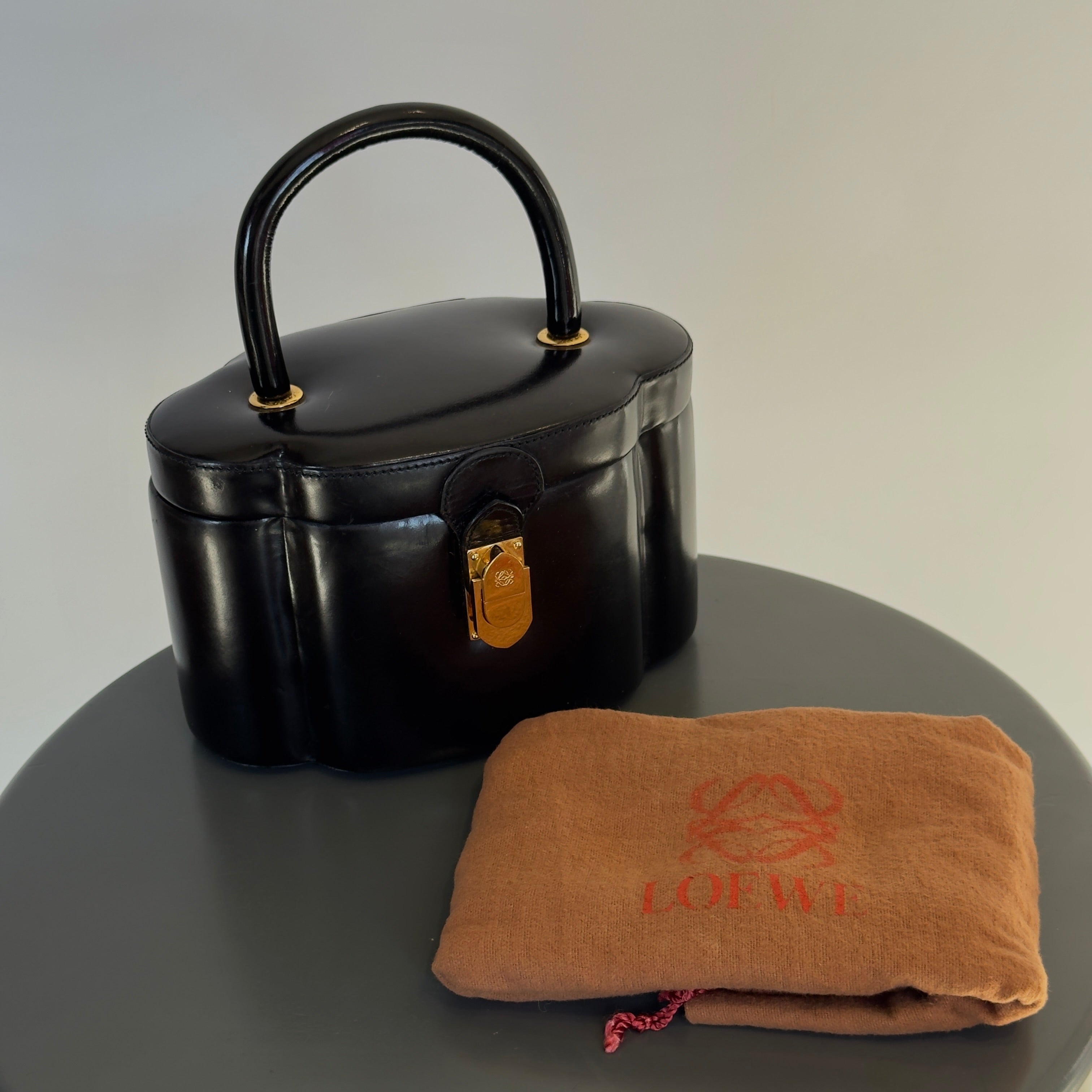 Rare Vintage Loewe Hardcase Top Handle - Queen May