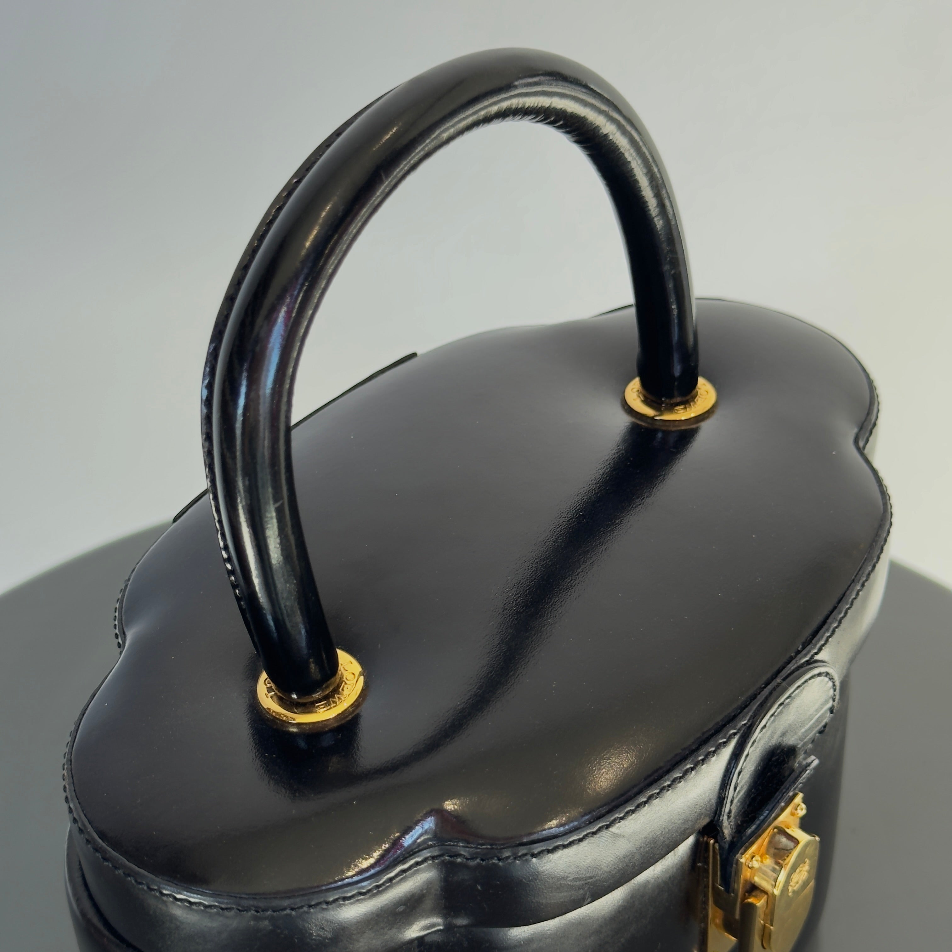 Rare Vintage Loewe Hardcase Top Handle - Queen May