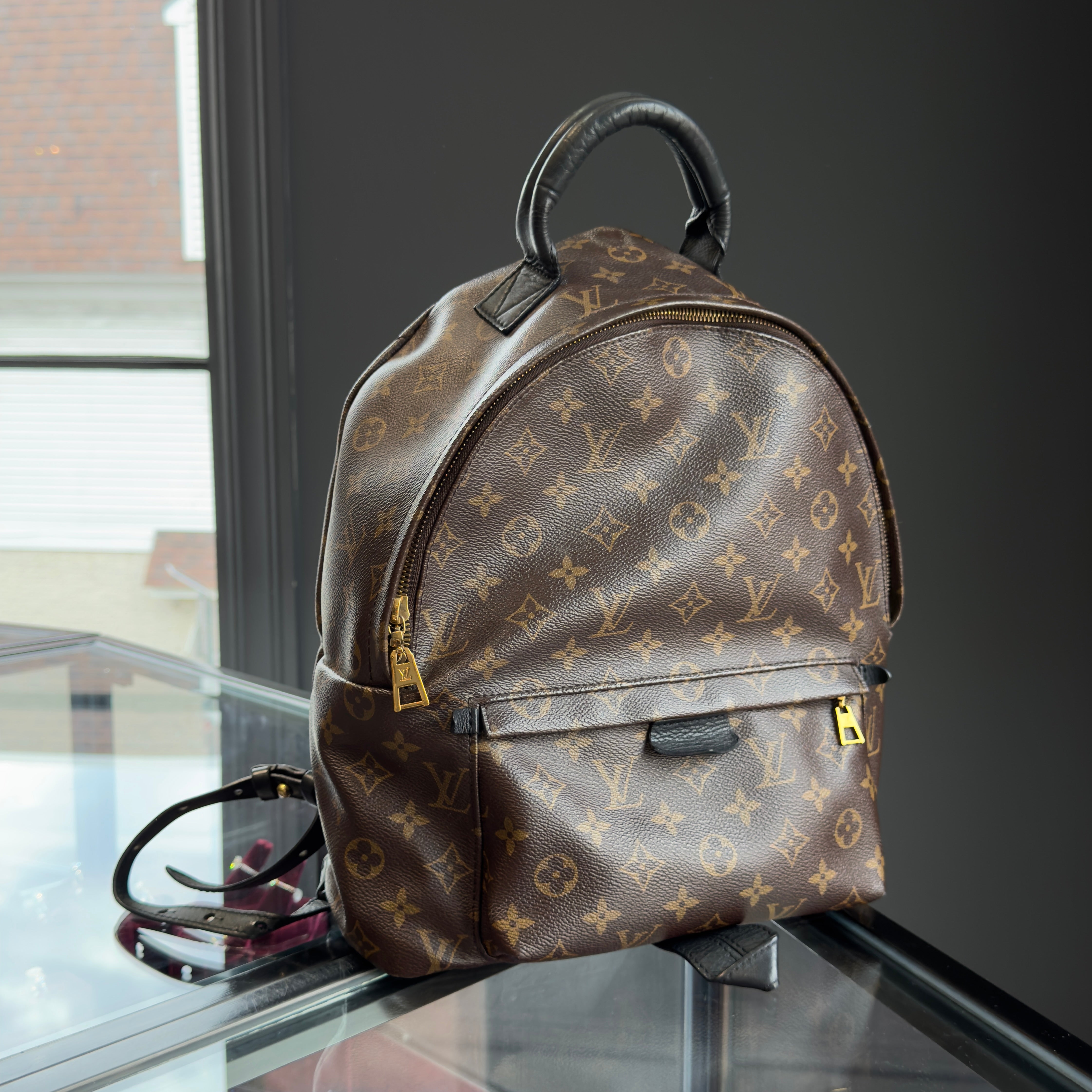 Louis Vuitton Monogram Palm Springs MM Backpack - Queen May