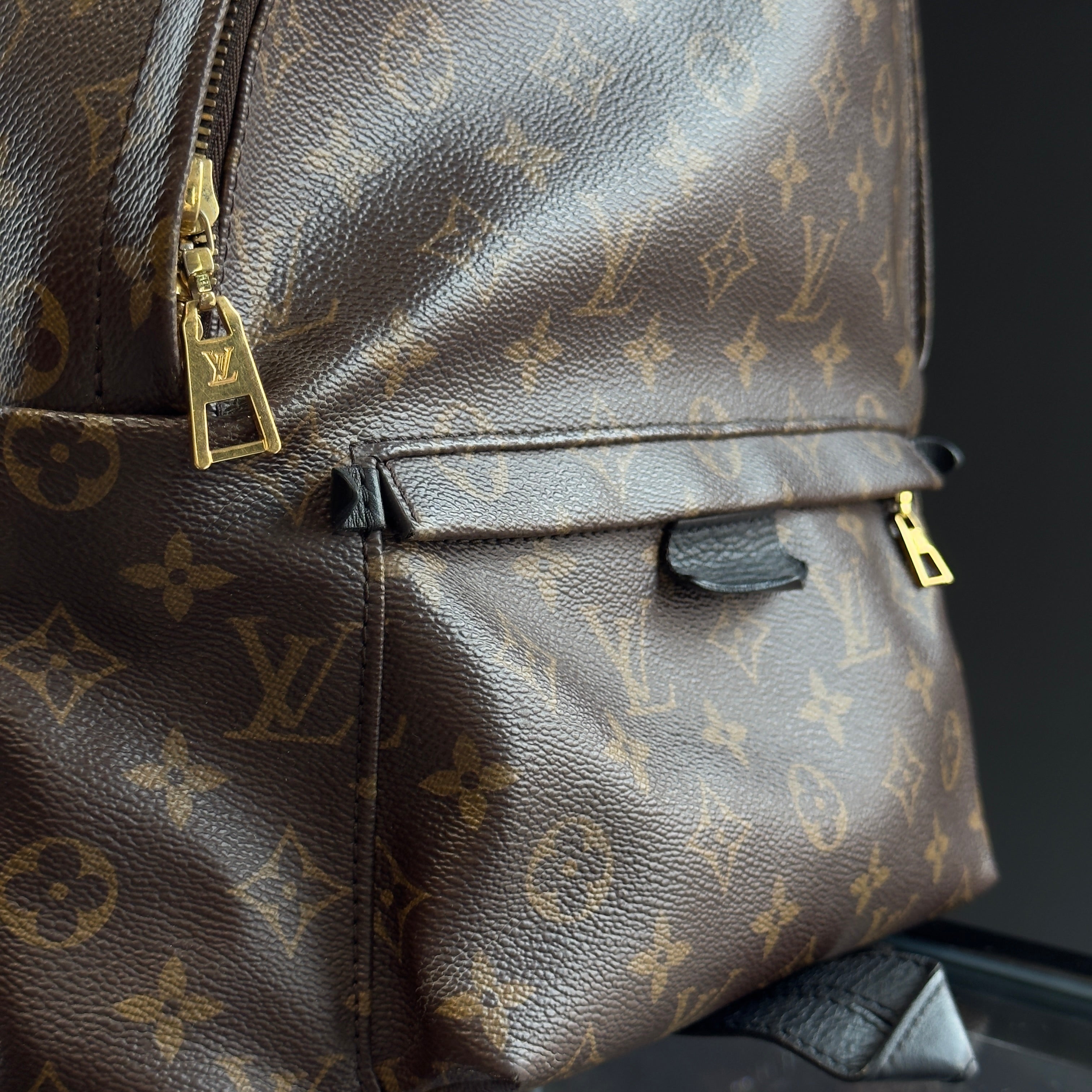 Louis Vuitton Monogram Palm Springs MM Backpack - Queen May