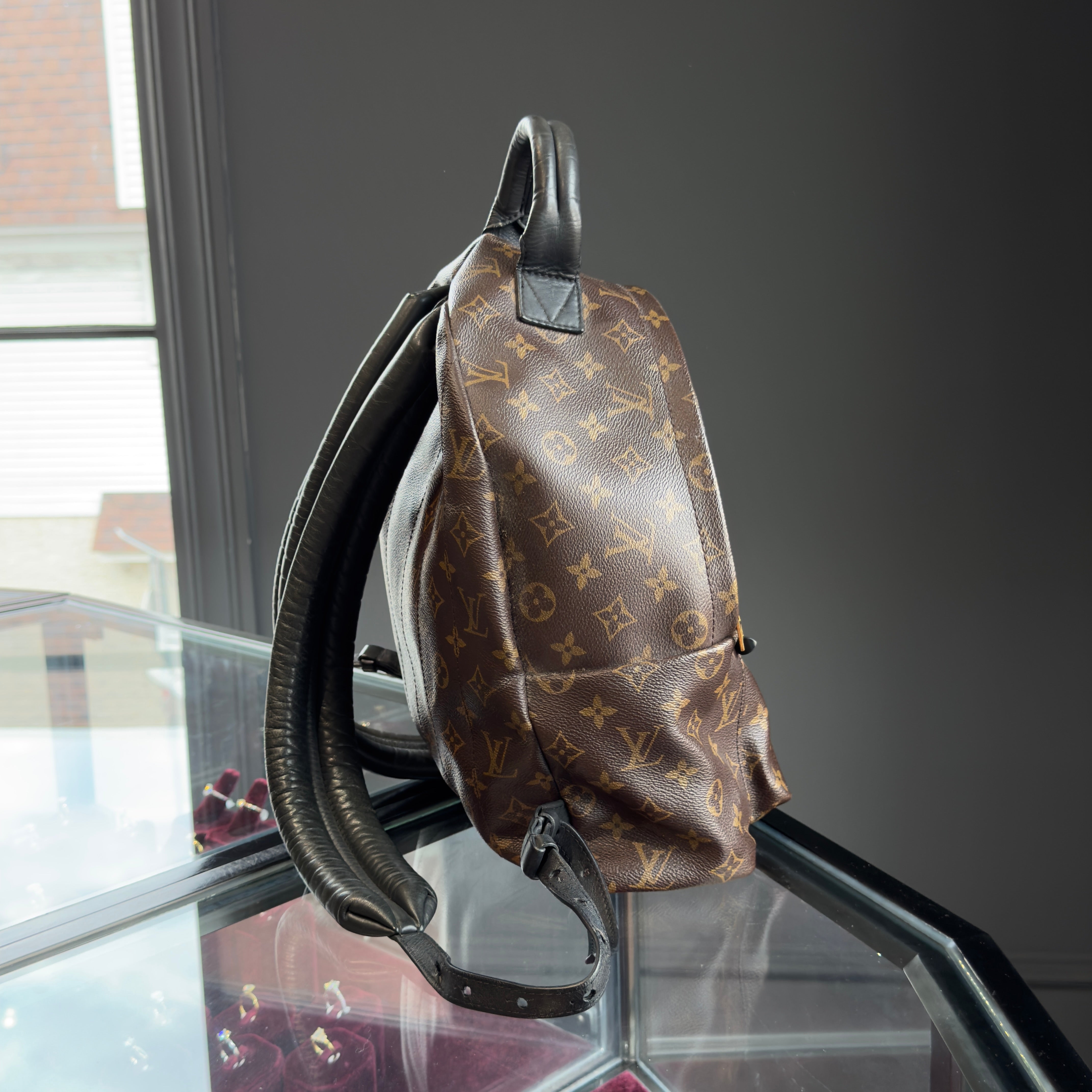 Louis Vuitton Monogram Palm Springs MM Backpack - Queen May