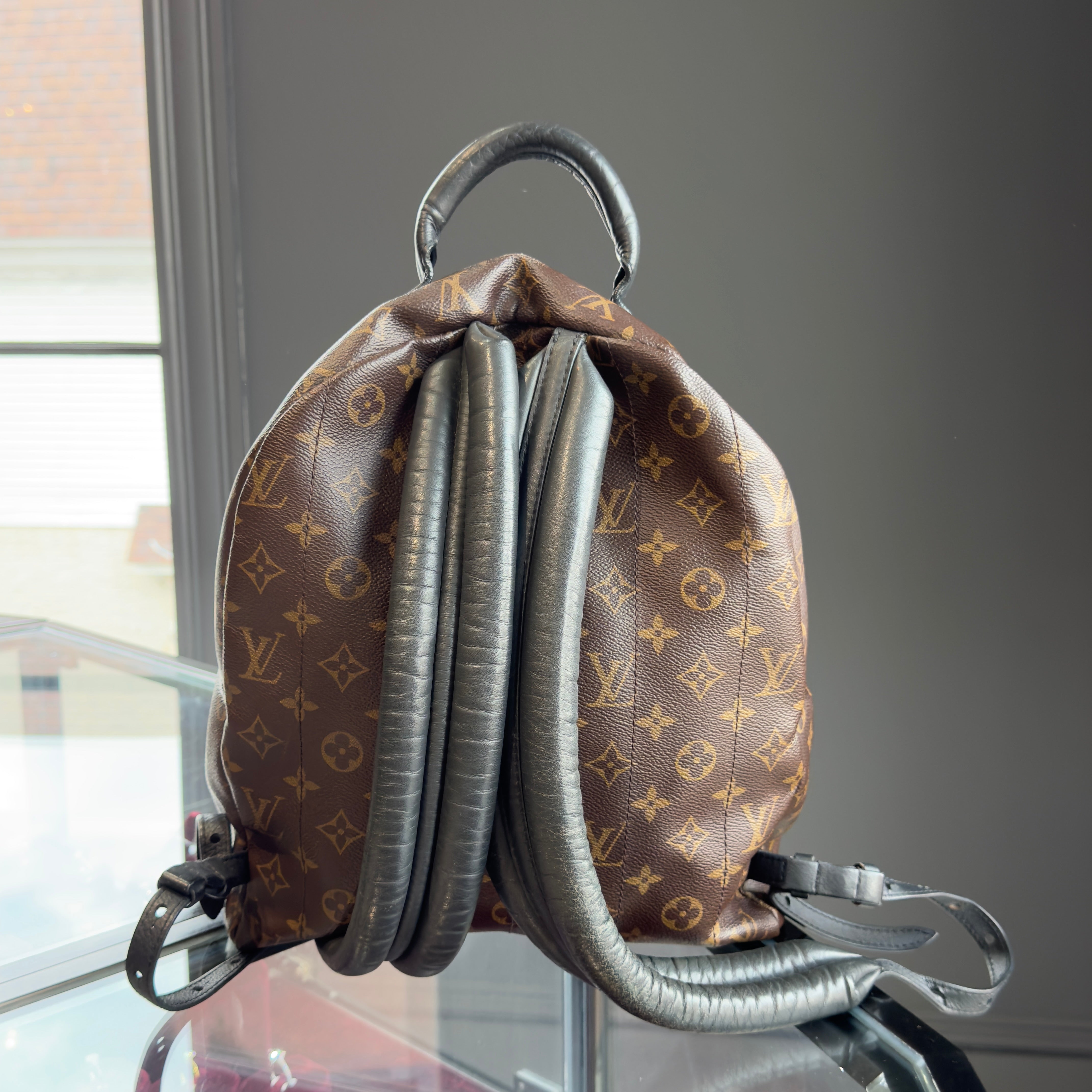 Louis Vuitton Monogram Palm Springs MM Backpack - Queen May