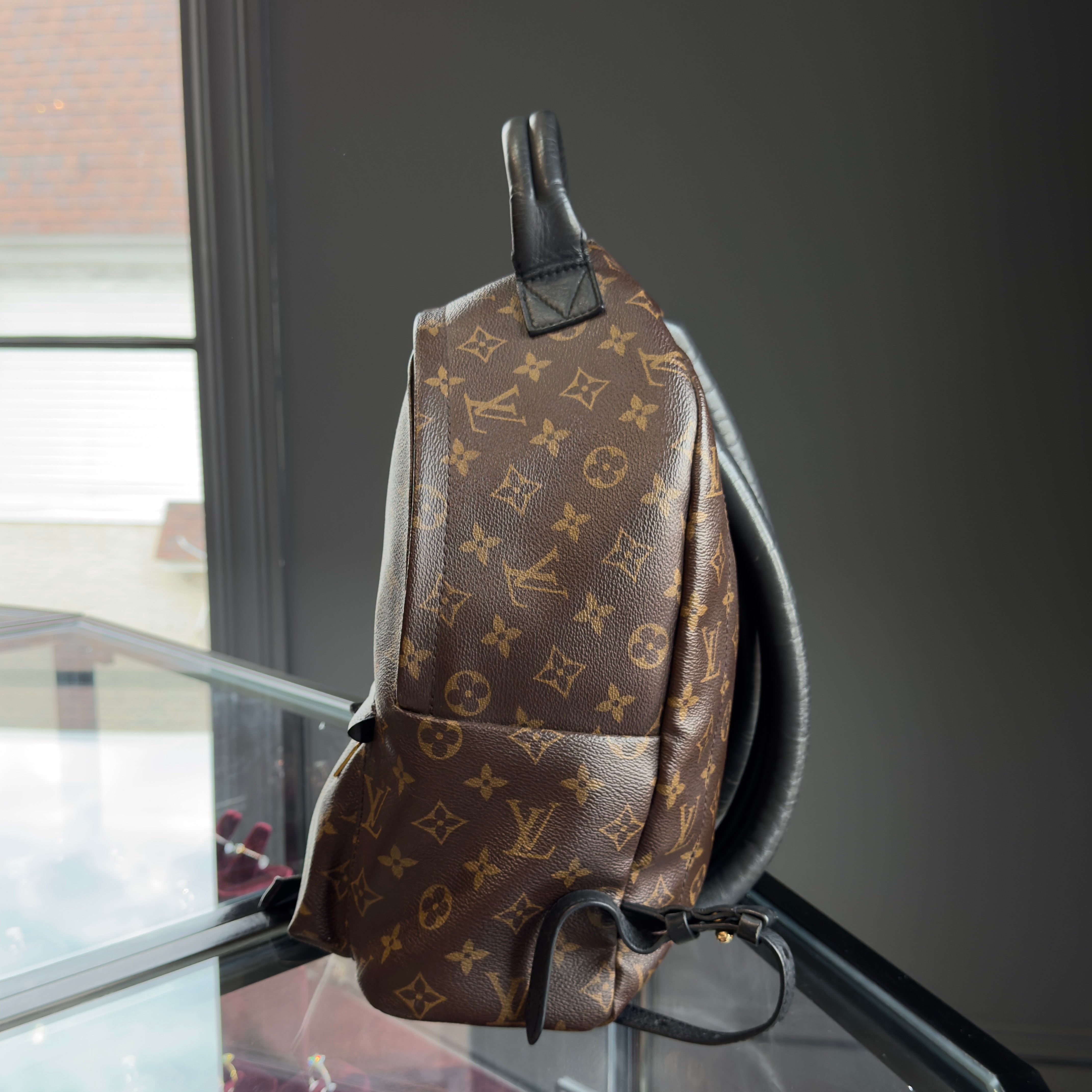 Louis Vuitton Monogram Palm Springs MM Backpack - Queen May