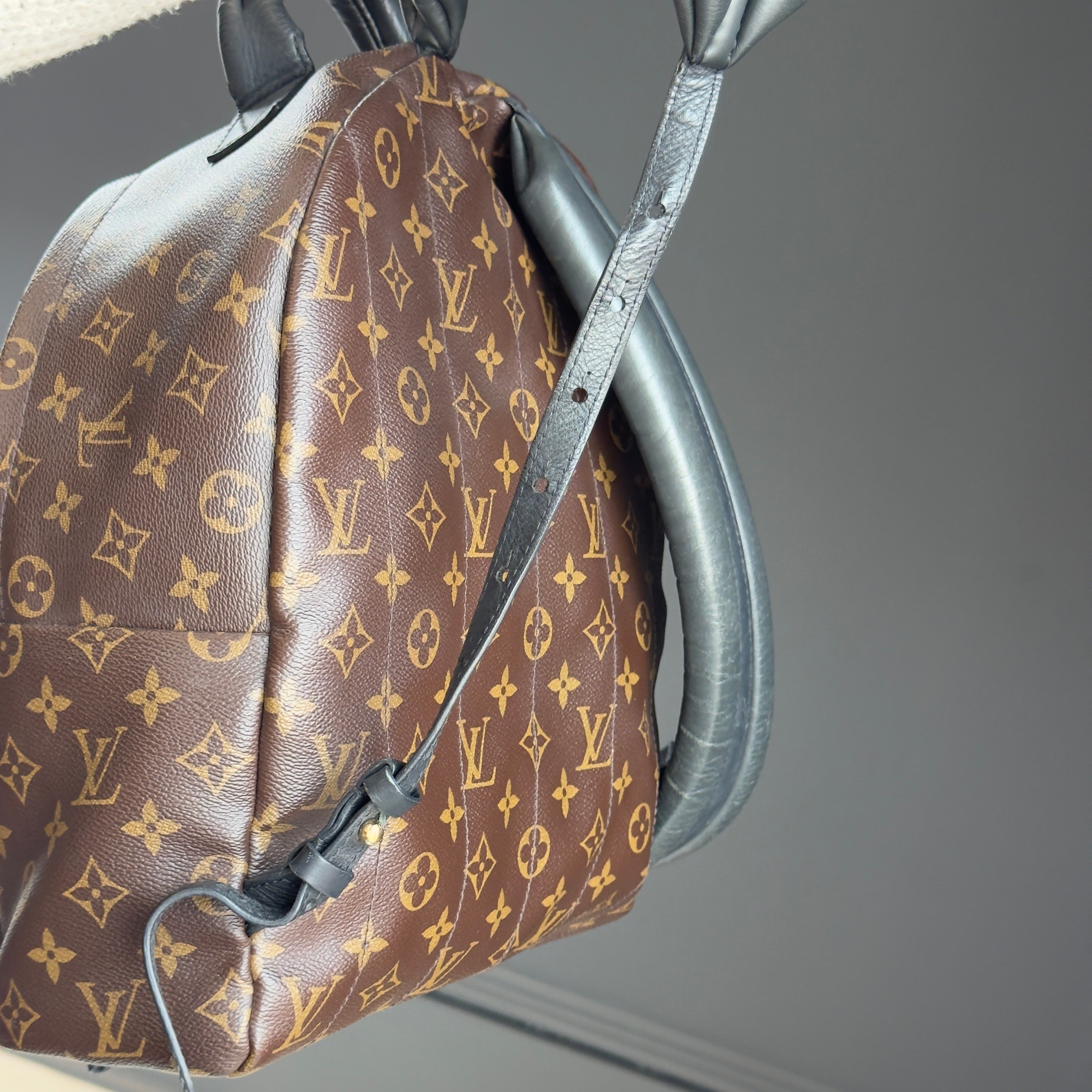 Louis Vuitton Monogram Palm Springs MM Backpack - Queen May