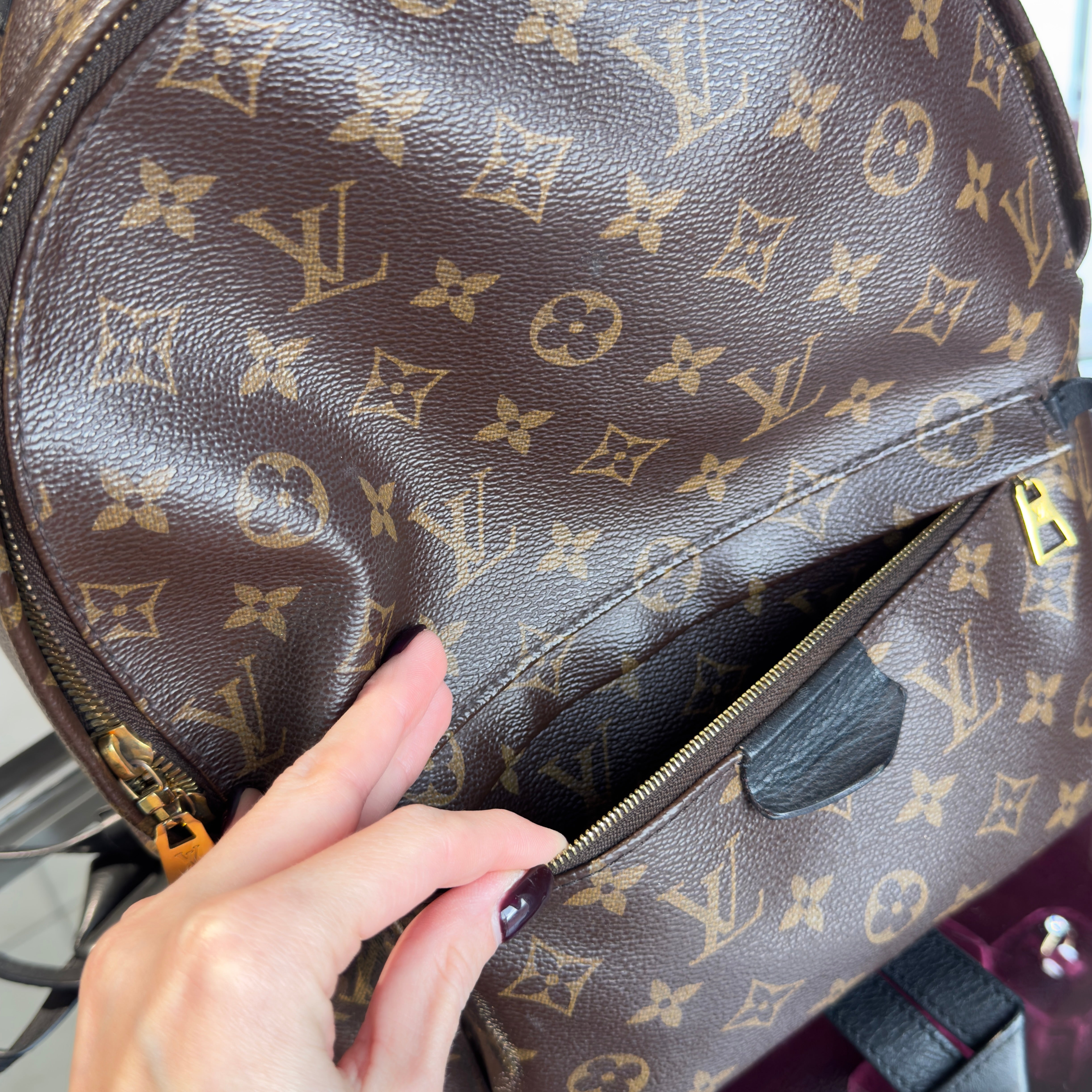 Louis Vuitton Monogram Palm Springs MM Backpack - Queen May