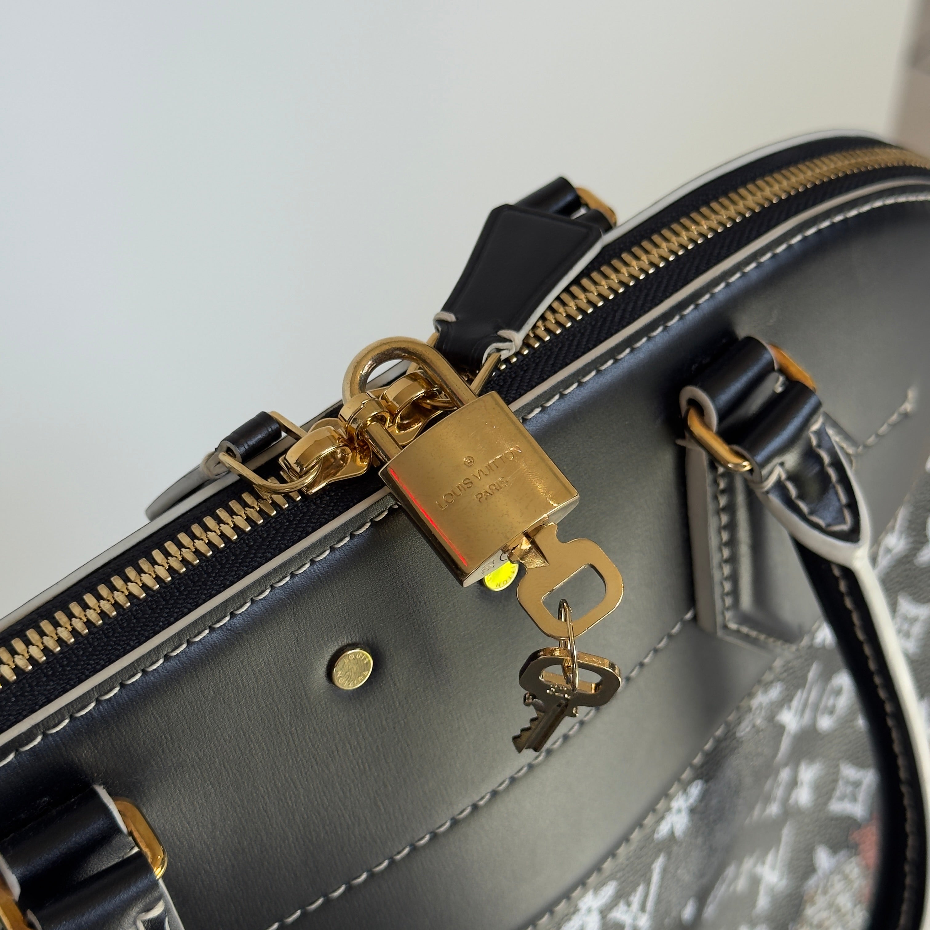 Limited Edition Louis Vuitton Grace Coddington Catogram Alma Souple Bag - Queen May
