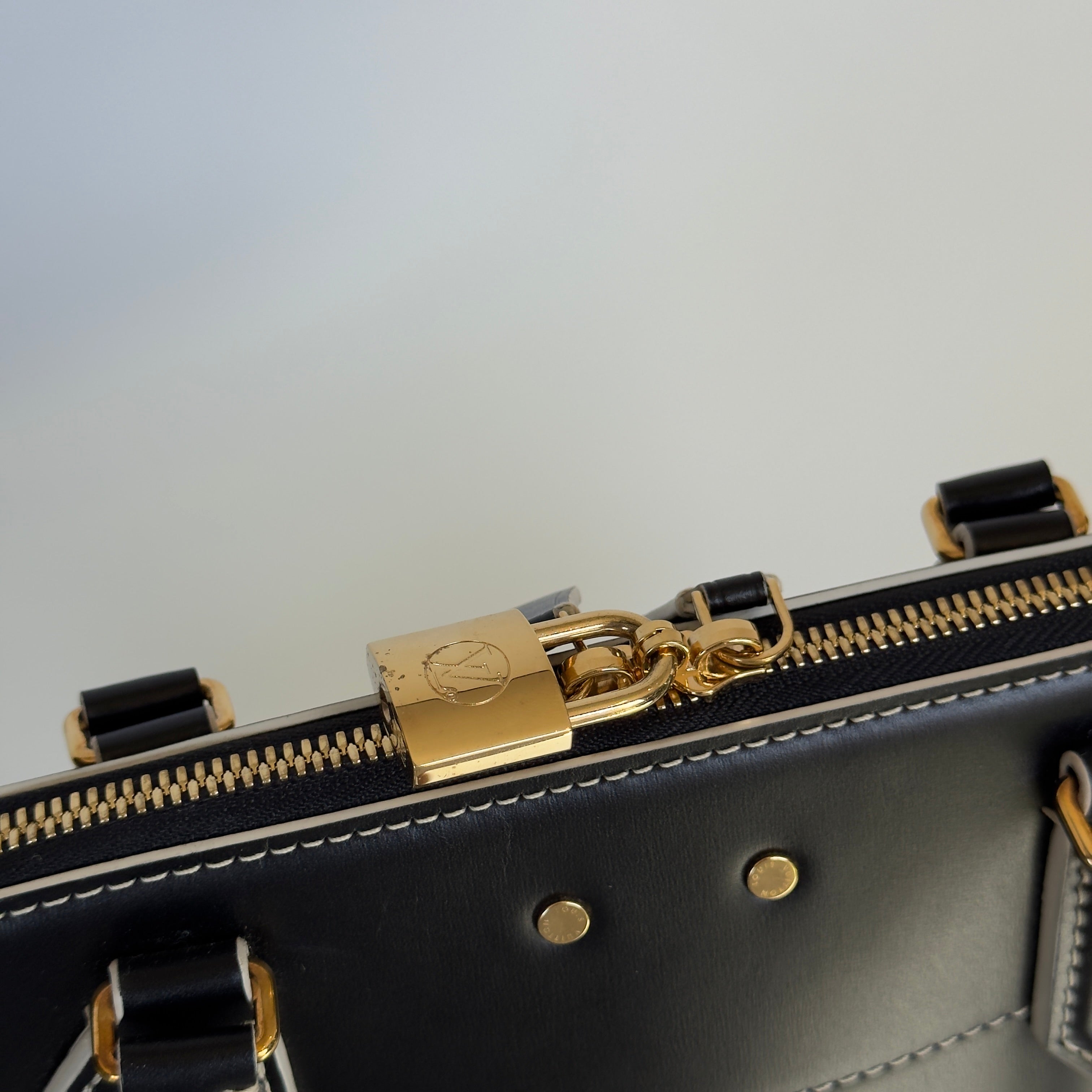 Limited Edition Louis Vuitton Grace Coddington Catogram Alma Souple Bag - Queen May