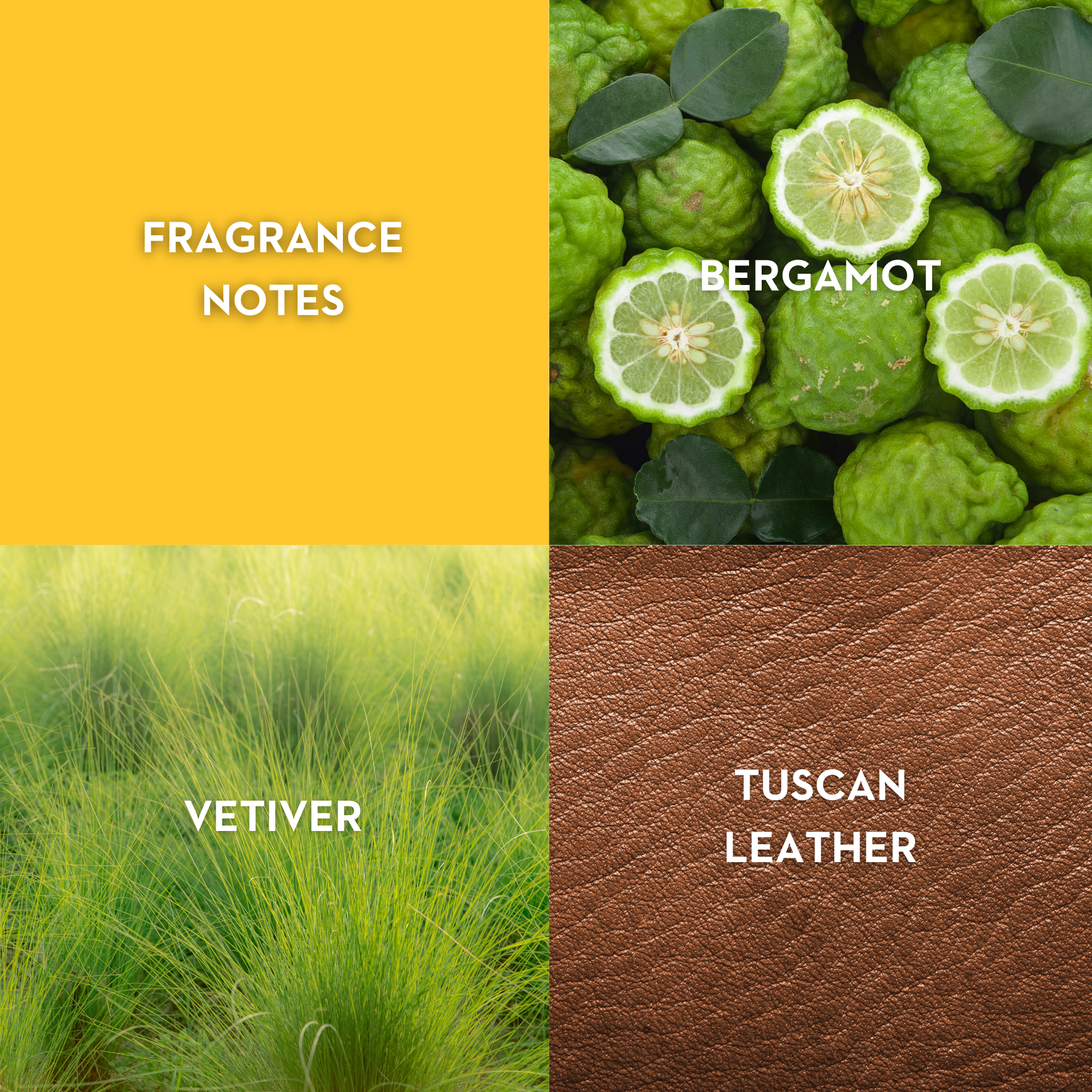 Vilhelm Parfumerie Morning Chess Eau de Parfum - Queen May