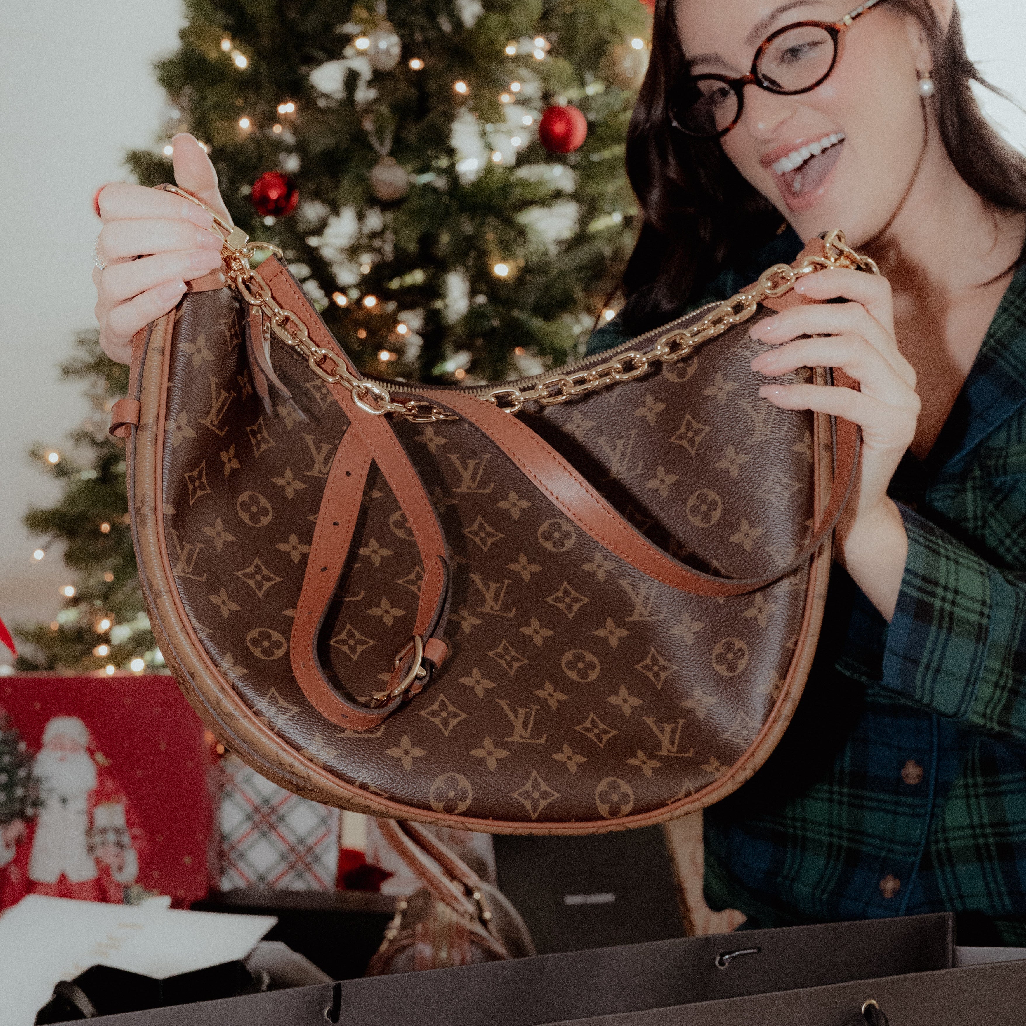 Louis Vuitton Monogram Loop Hobo - Queen May